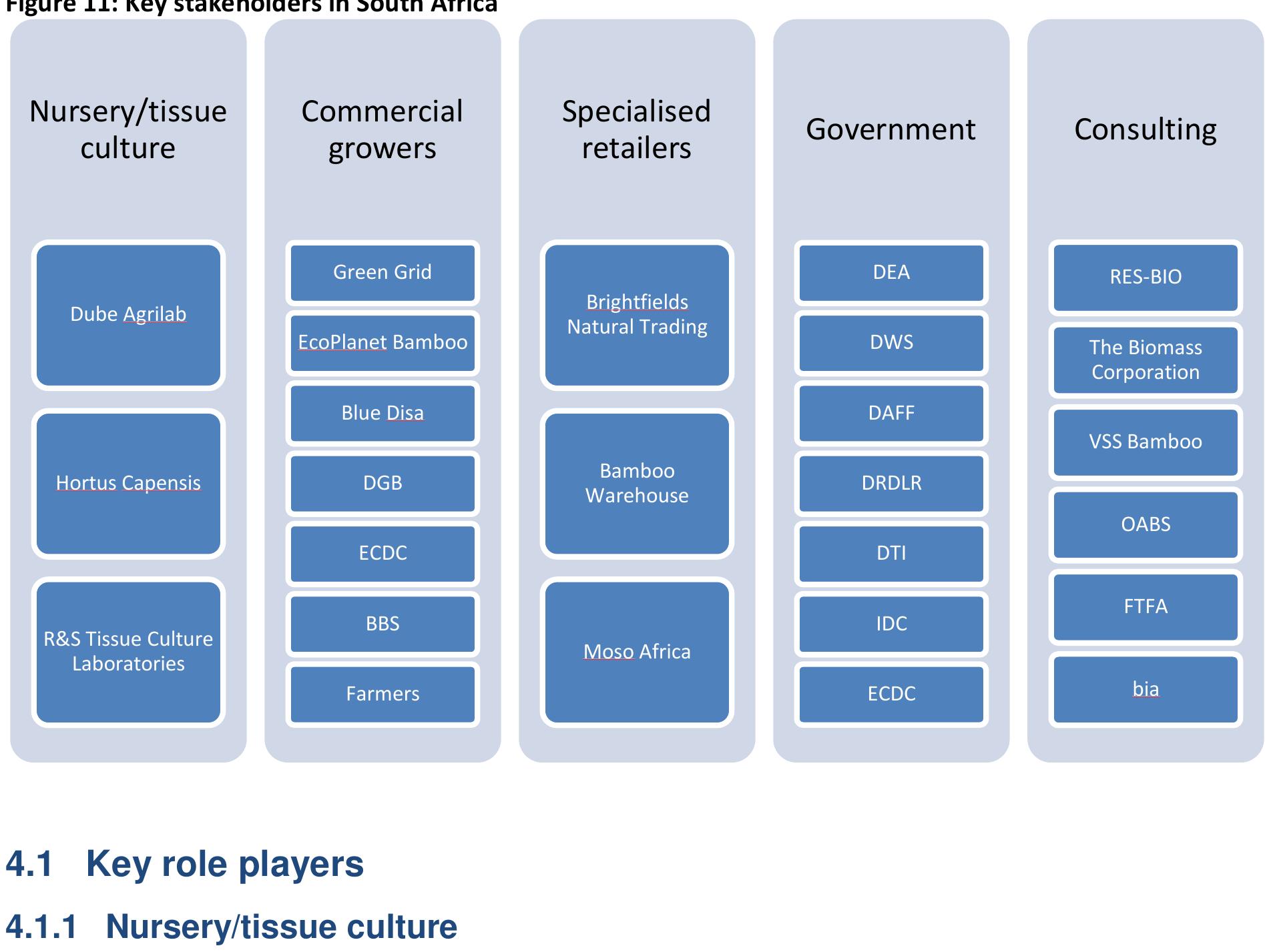 The commercialisation of bamboo in South Africa depends on the successful collaboration of various stakeholders from the public and private sector. In this section the key role players of South Africa’s bamboo industry are described and analysed. They are grouped  into nursery/tissue culture, commercial growers, specialised retailers, government and consulting (Figure 11).  Dube AgriLab is part of Dube Tradeport, a public company wholly owned by the South African government. Dube Agrilab provides micro propagation and agricultural services tc national and regional farmers. The objective is to propagate high-quality plants for the agricultural community in order to support local economic development in the country. The equipment is state of the art including rainwater harvesting, recycling of water and flooc irrigation facilities. Bamboo is one of the newer products that they have started tc propagate and where they see the potential for economic development in the country.  agricultural community in order to support local economic development in the country. The  The commercialisation of bamboo in South Africa depends on the successful collaboration 