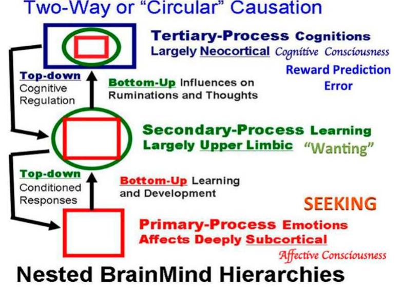 Panksepp Rage System (PDF) Neuropsychoanalysis An Interdisciplinary Journal for ...