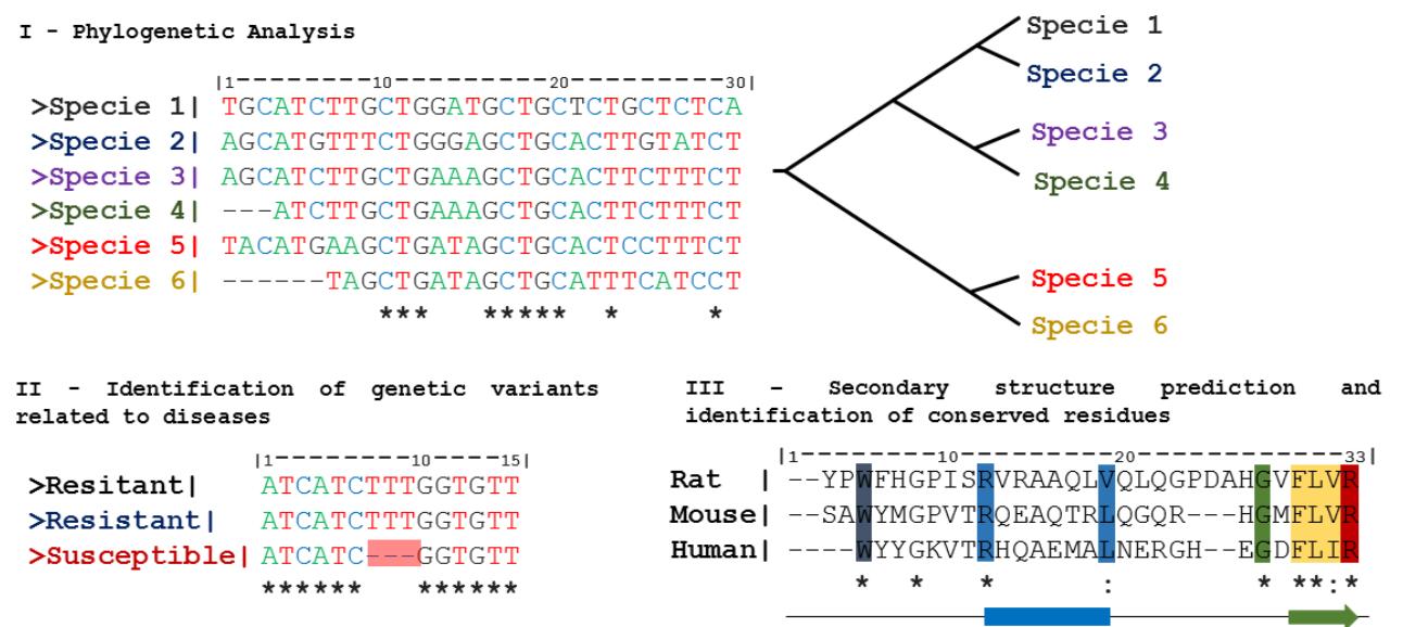(PDF) Bioinformatics: an overview and its applications