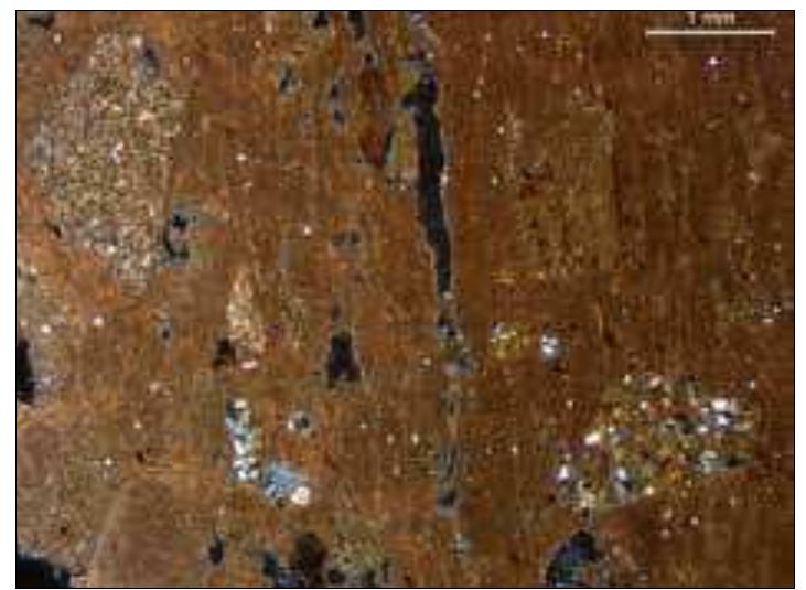 Figure 6. Photomicrograph _ illustrating characteristic fabric with mudstone breccia,  thought to be from dast Argive Plain, sample T04 XP 