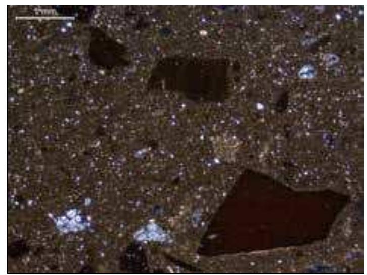 Figure 5. Photomicrograph — illustrating characteristic fabric with mudstone from Corinth, sample T74 XP 