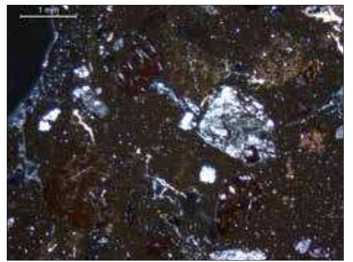 Figure 7. Photomicrograph _ illustrating characteristic fabric derived from the western Mesara, Crete, sample T11 XP 