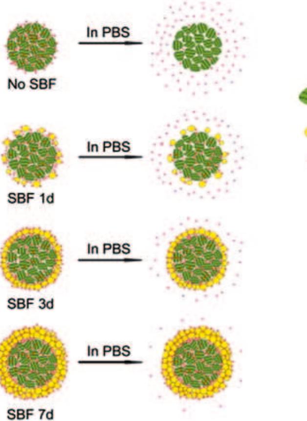 Figure 86 - from Clinical Applications of Biomaterials