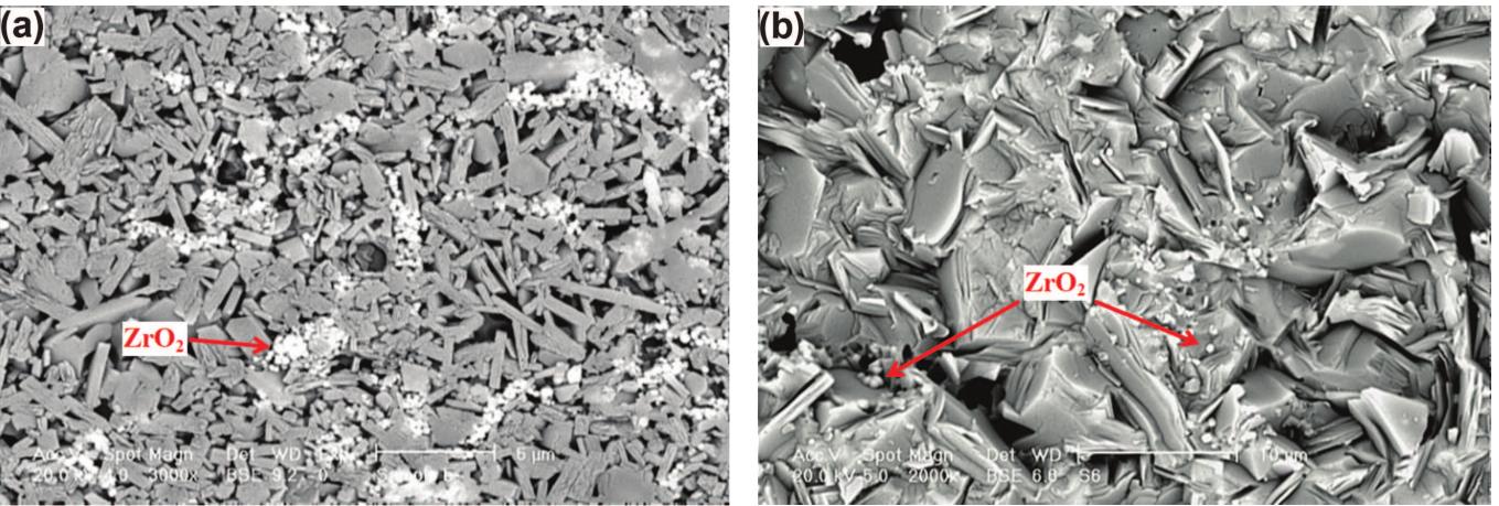 (a) microstructure of the mica glass-ceramic reinforced with