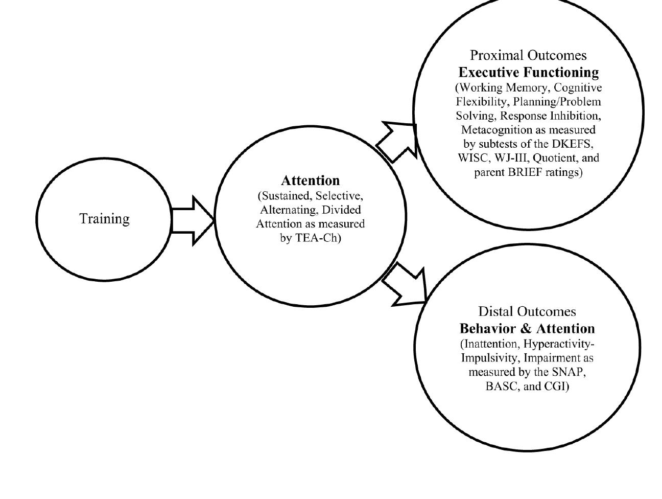 (PDF) Review Jurnal Preliminary Data Suggesting the Efficacy of ...