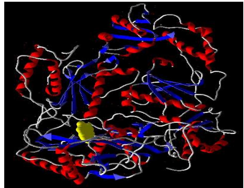 (PDF) Structure-activity relationship and virtual screening of ...