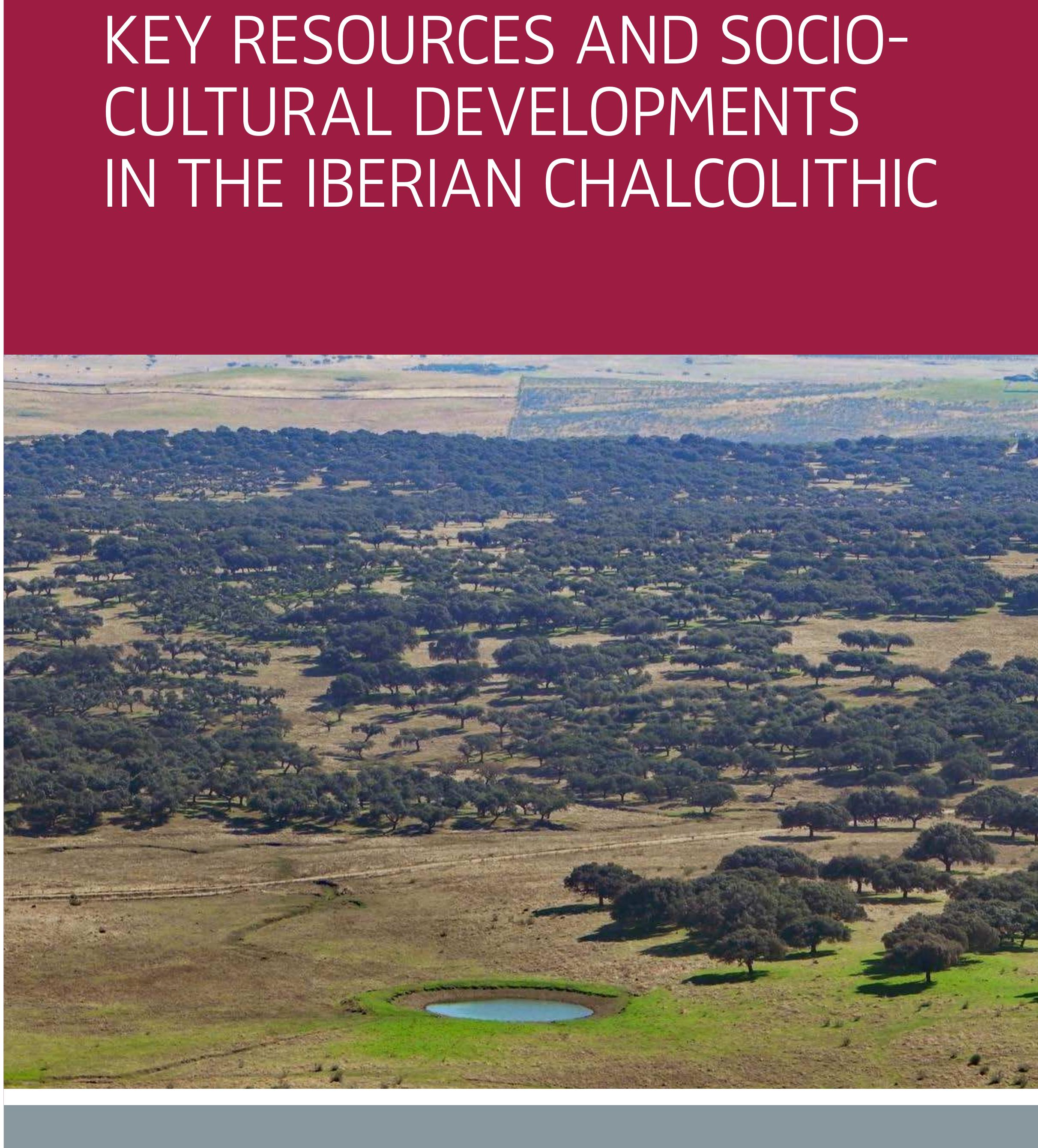 (PDF) The Social Value of Things. Amber and Copper in the Iberian ...