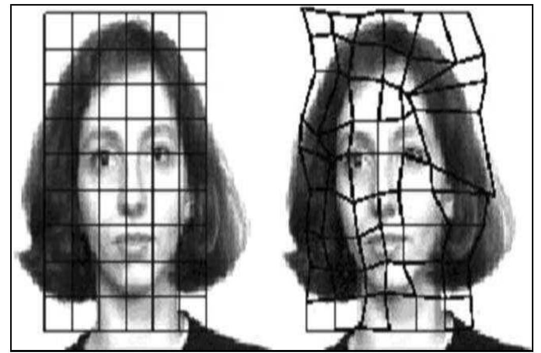 (PDF) Feature Extraction Techniques on Facial images. An Overview
