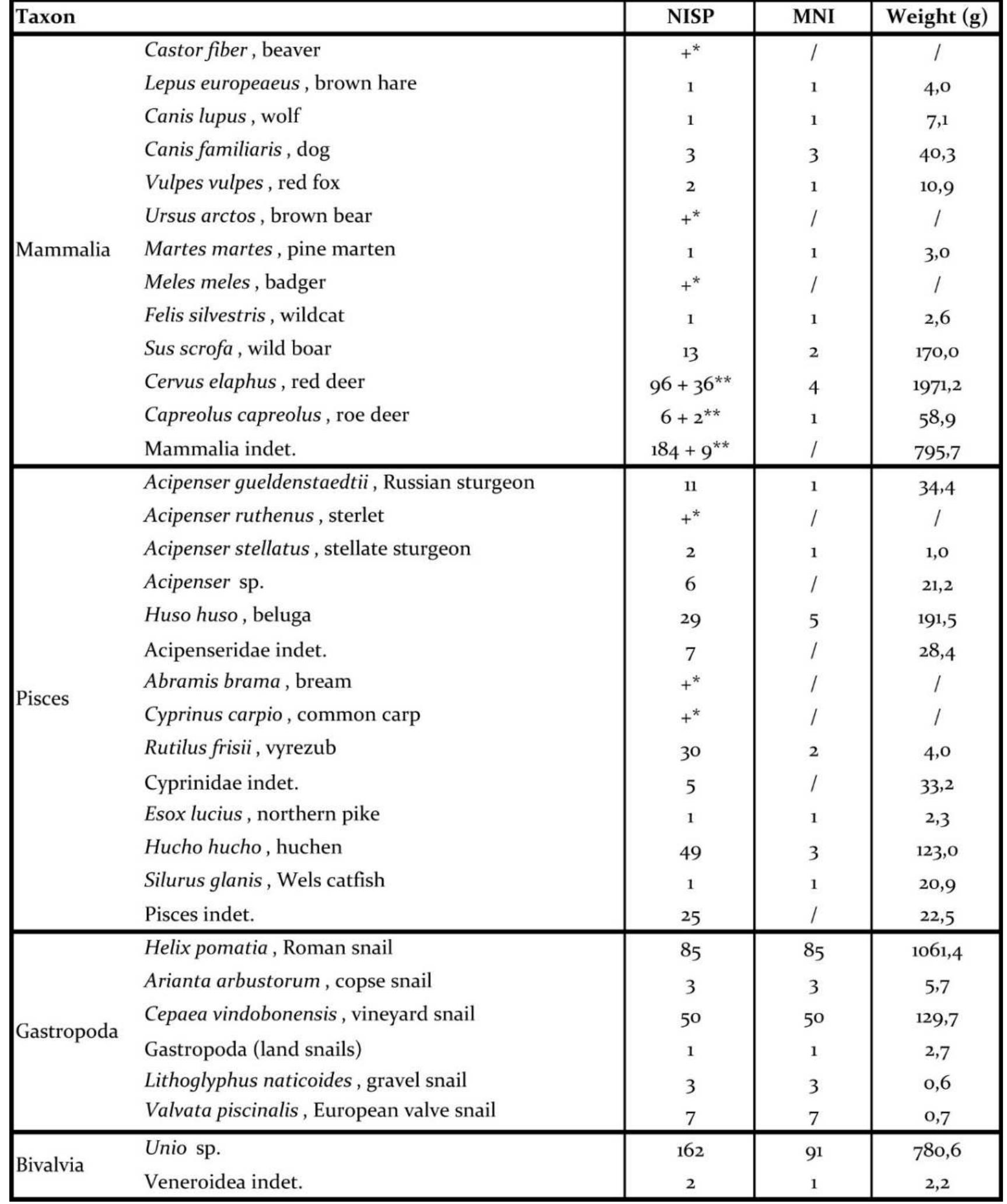 raw material/artefacts not analysed in this study.  Table 1. Mammal, fish, gastropod and bivalve taxa frequency expressed by the number of identified specimens (NISP), minimum number of individuals (MNI) and weight. Information on taxa marked with an asterisk (*) taken from Sladi¢ (2007), after the report by S. Bokonyi. NISP value marked with a double asterisk (**) taken from Vitezovié (20n. table 1), and represents the number of raw material/artefacts not analysed in this study.  Apart from red deer, the remains of game animals included those of wild boar and roe deer (Table 1). A single roe deer mandible with mixed deciduous/permanent dentition was indicative of the kill season: on the basis of tooth eruption and wear it was determined that it originated from a 5- to 10-month old 