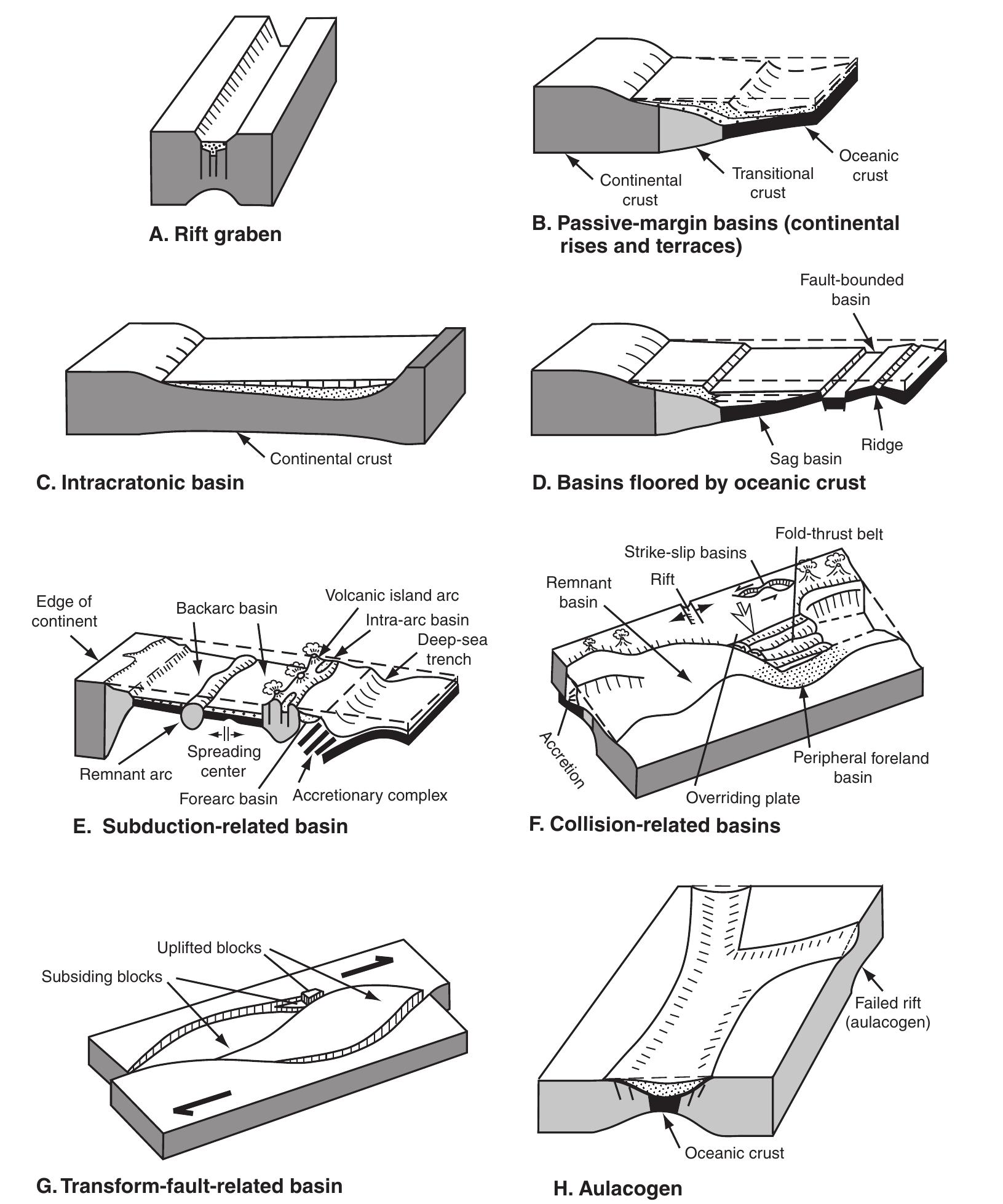 5 schematic representation of major microstructural changes