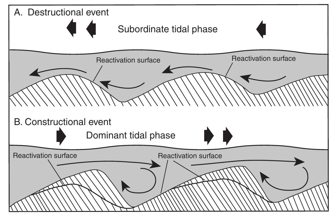 Reactivation Event Figure 37 - from Petrology of Sedimentary Rocks