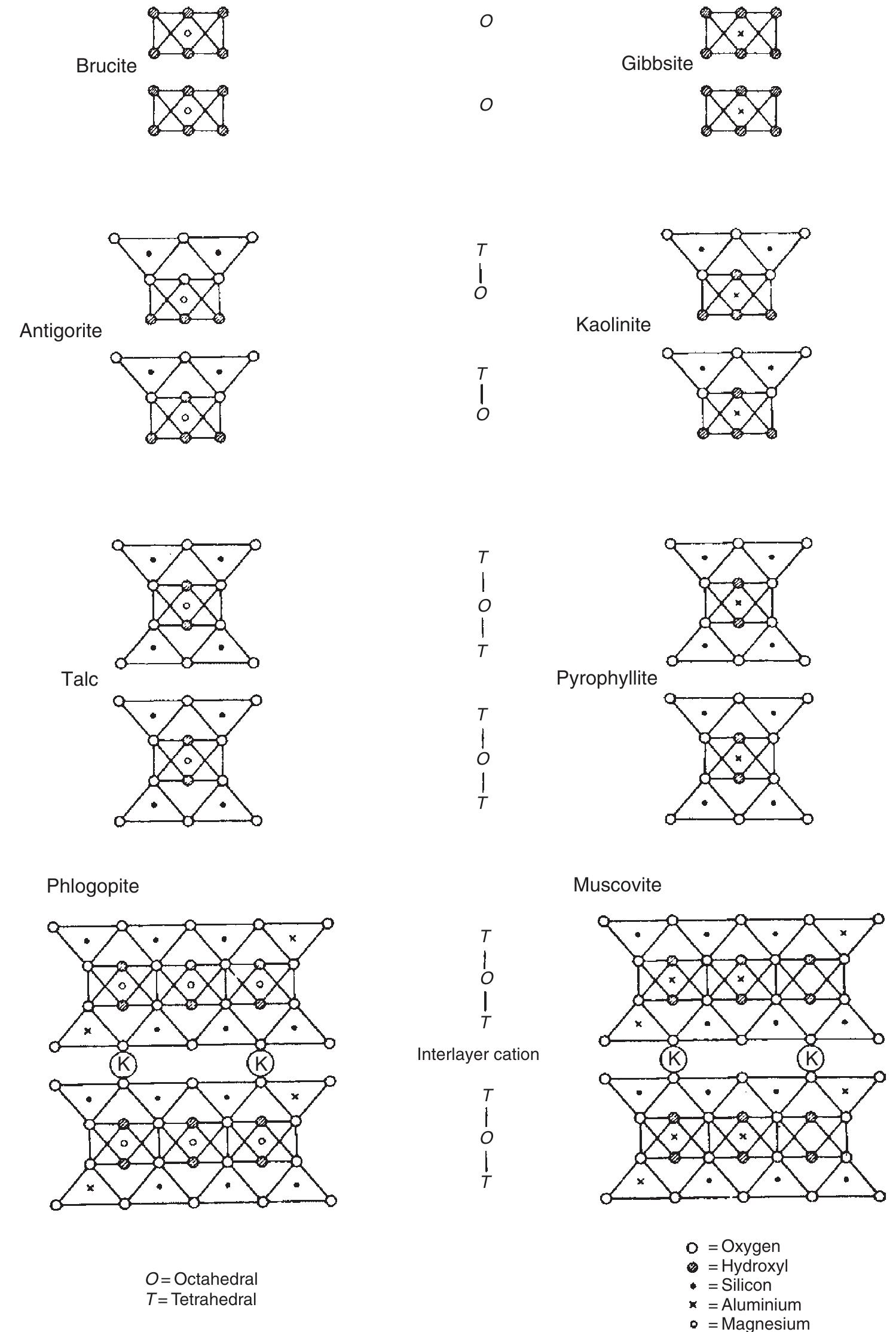10 schematic representation of the linking of t and o layers