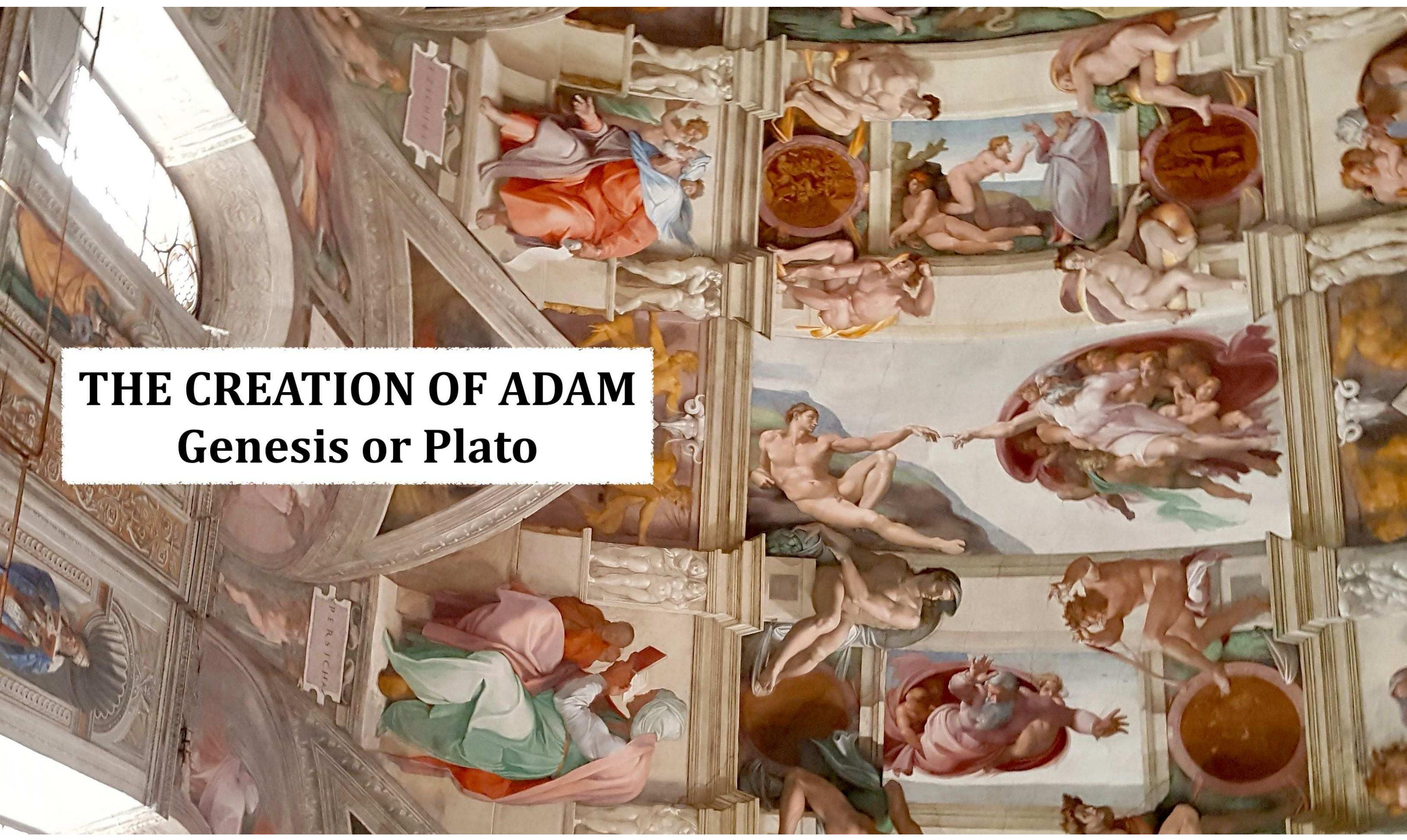 The Creation of ADAM等CD7枚　単品購入受付　ADAM at ADAM at The Creation of CD : タワーレコード Yahoo!店 - 通販