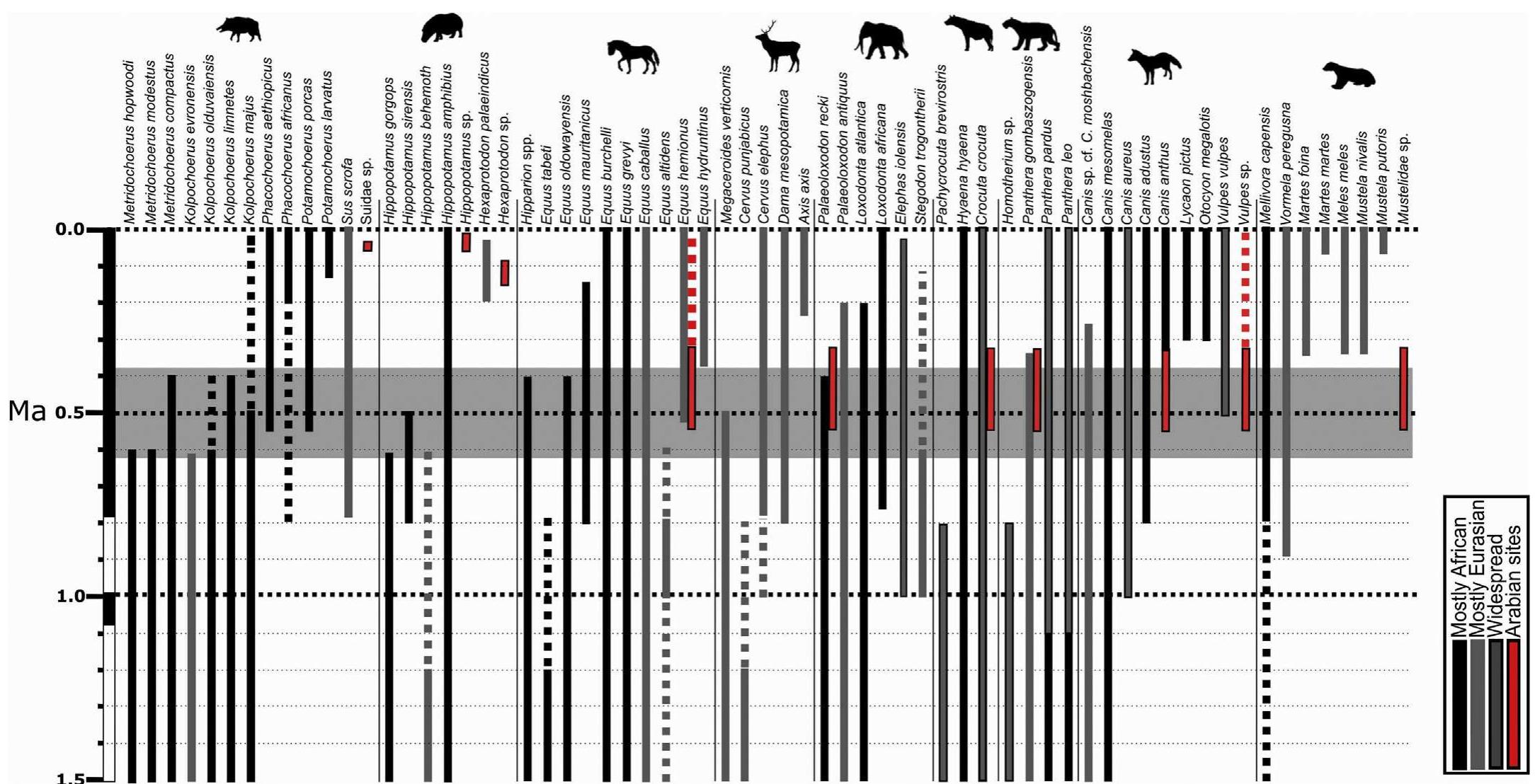 (PDF) Middle and Late Pleistocene mammal fossils of Arabia and ...