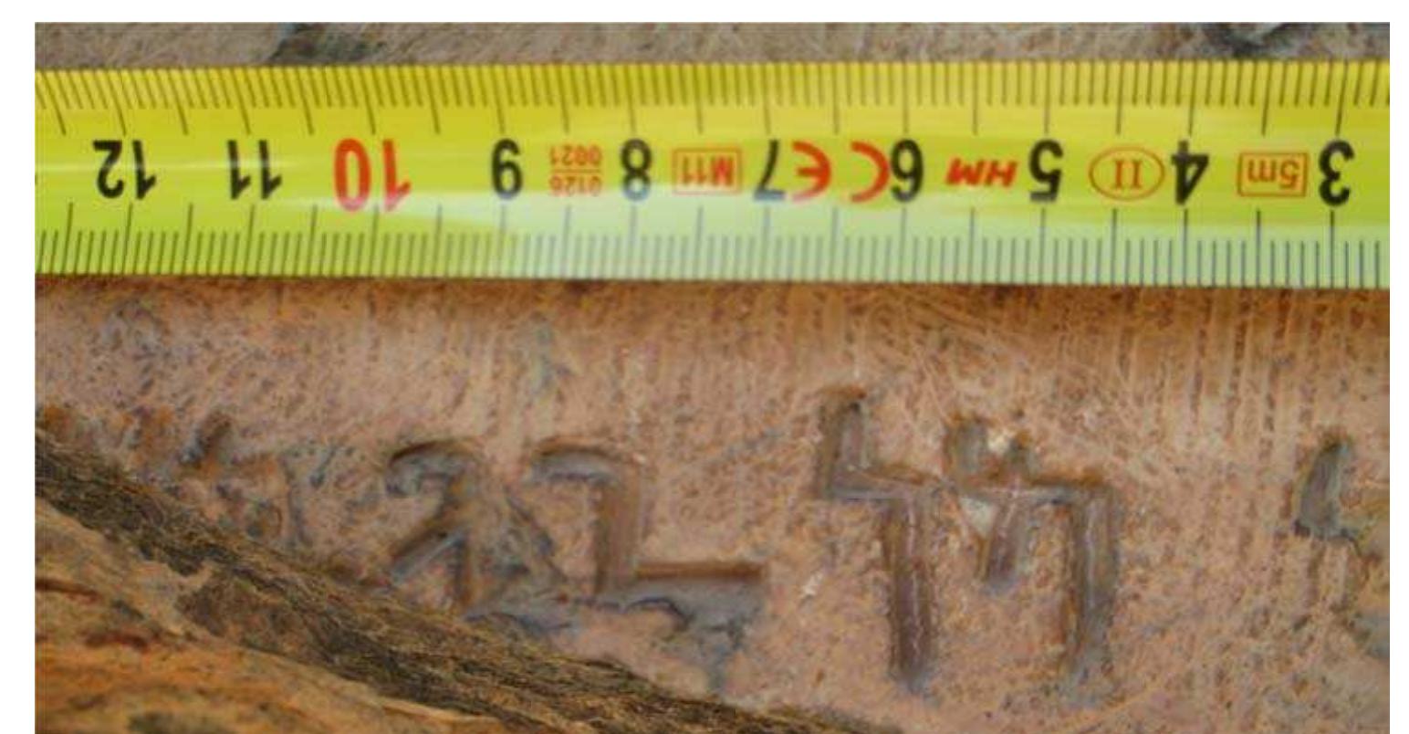 Fig. 11. The Aramaic inscription from Limyra. The last sequence before the lacuna (photo by M. Vernet) 