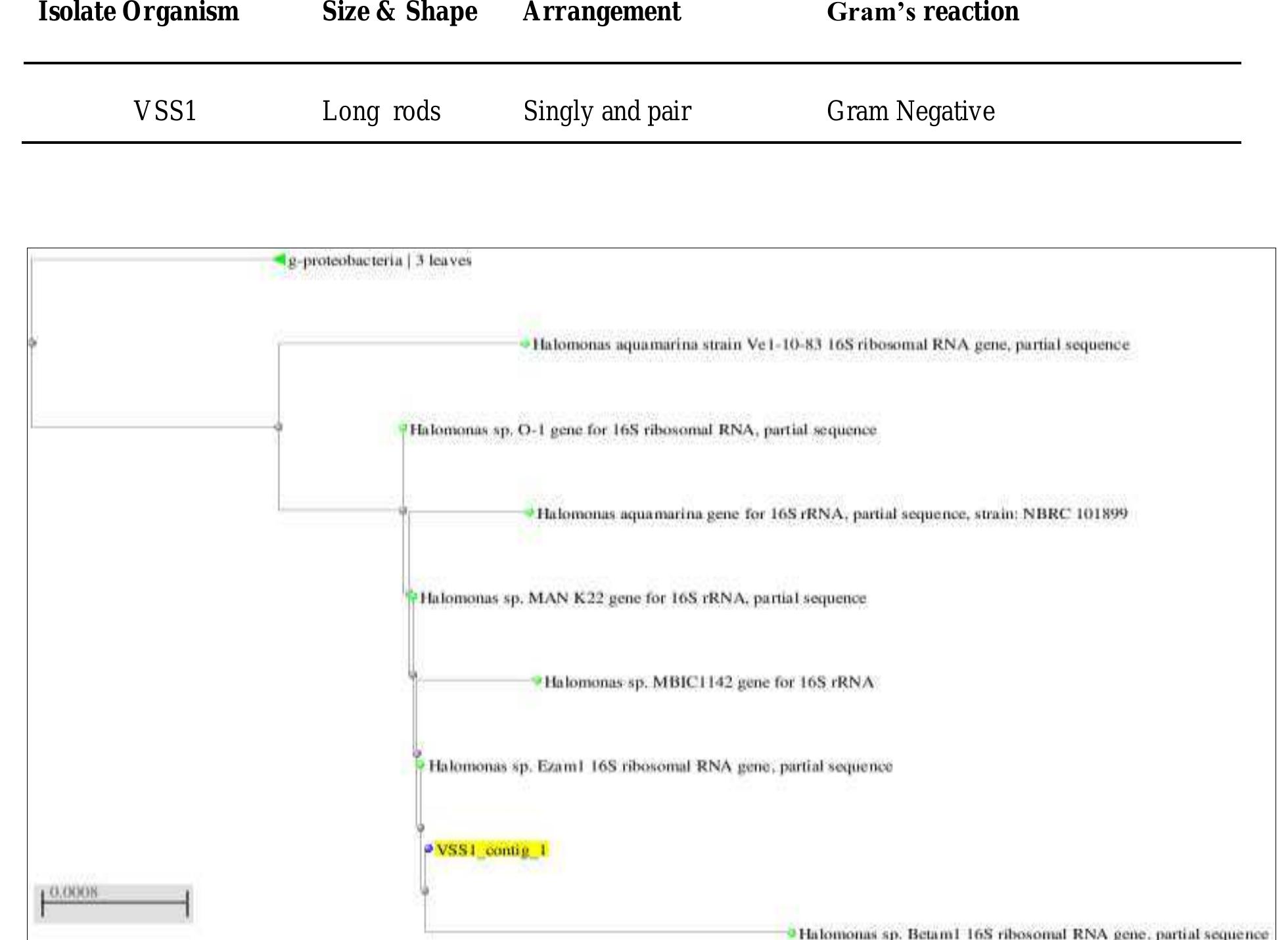 Phylogenetic tree using neighbor joining method table 2: