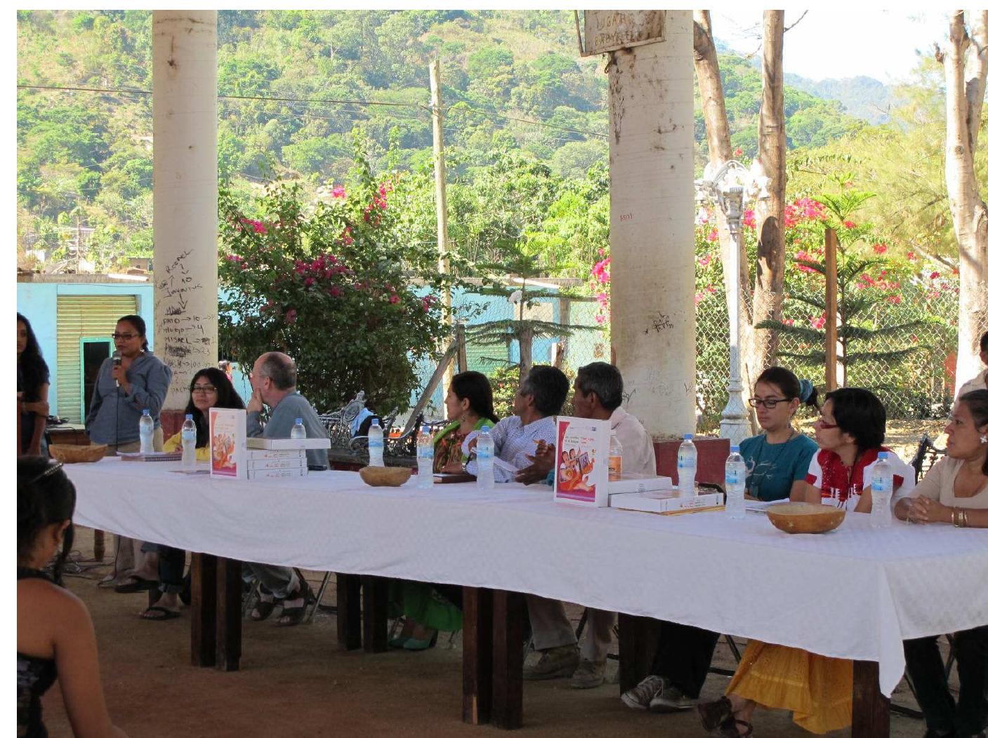 FicureE 14. Welcoming ceremony in San Miguel Panixtlahuaca for the first workshop on  the normalization of writing in Eastern Chatino. The meeting included (1-r) an adult edu-  cation representative (speaking), Emiliana, Tony, three municipal presidents, and INALI representatives, March, 2013 (Photo by Gibran Morales)  a aa aaa aaa = a SS a a Sreewene al SS Aare RAEN: | RMR SN DSN LO MM  The first such workshop took place i in n March, 2013, in the municipality of San Miguel Panixtlahuaca, which supported it together with INALI (Figure 14). These workshops were advertised widely and offered room and board for all speakers who explained their interest and who committed to complete the full week of activities. 
