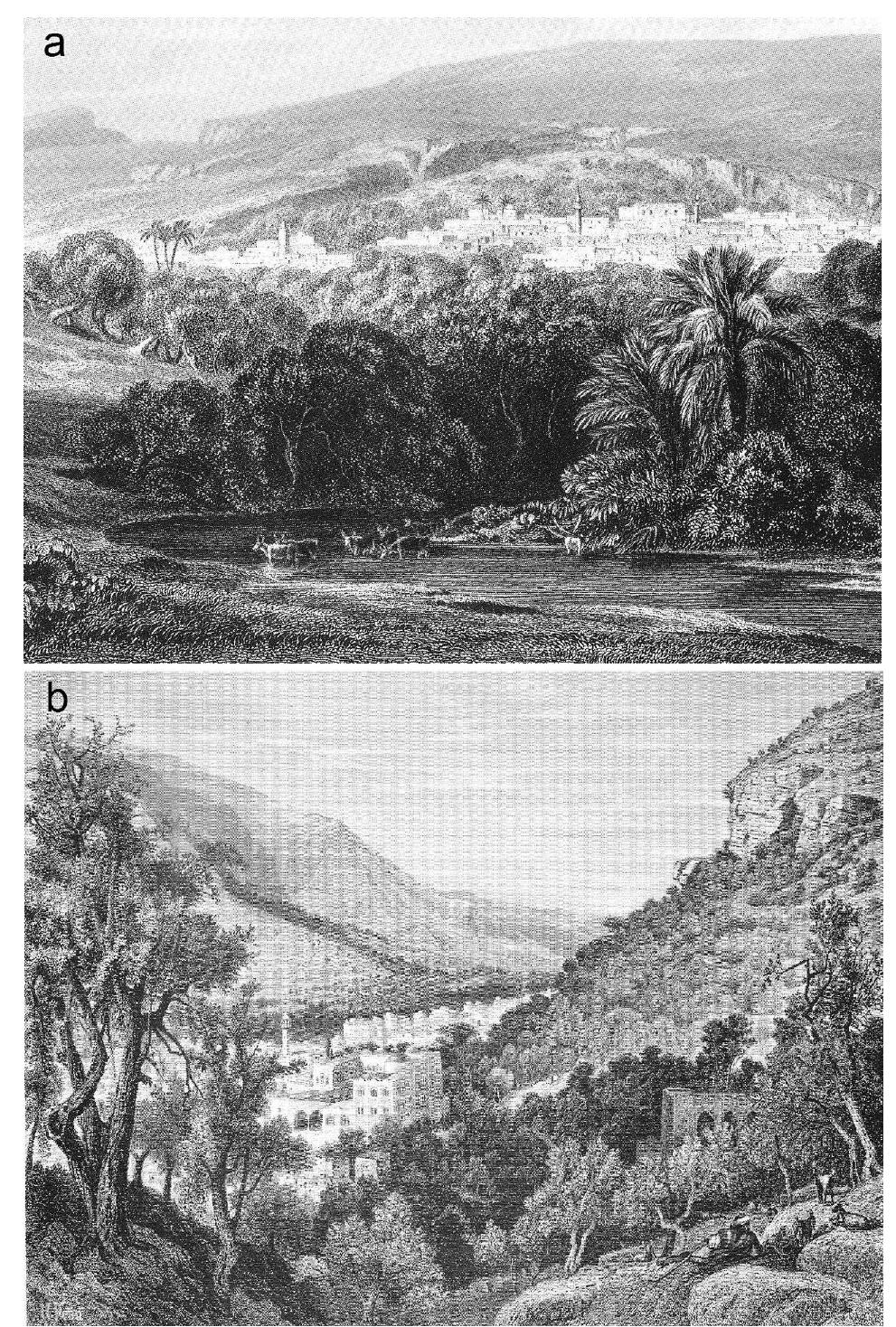 FIGURE 4 _ Copper etching drawings during the 19th century around Nablus, prior to major recent usage of water in the city. (a) Nahal Shechem west of Nablus. Note cows wading in a significant flow of water (Busch, 1863). (b) View from Ras el ’Ein to the city, at the foot of the steep slope of Mt. Gerizim (right). Note a water-operated flour mill at the lower right, which must have been using the water of Ras el ’Ein (Wilson, 1881). 