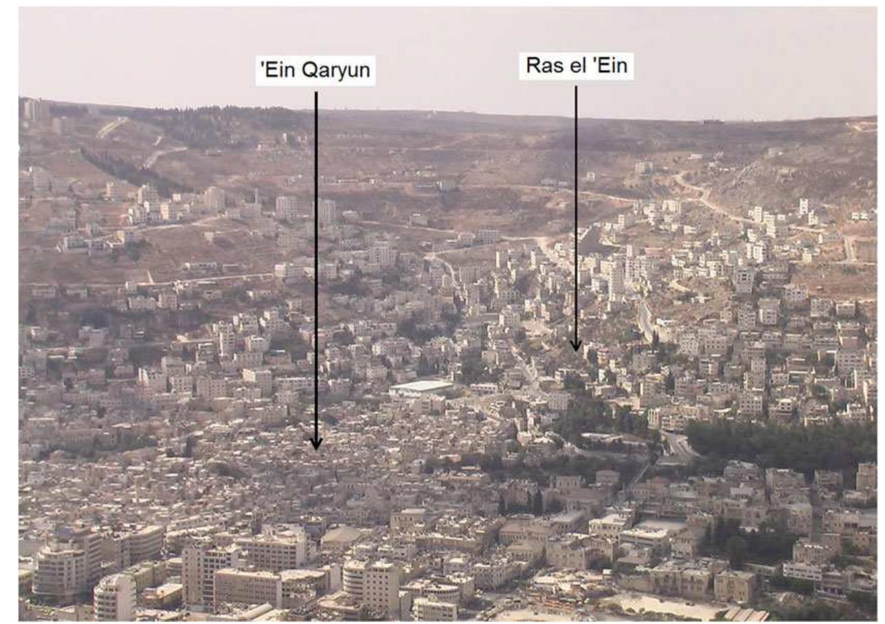 FIGURE6_ Nablus today with the two major springs at the foot of Mt. Gerizim, which serves as their recharge zone. View from the north. The old Kasbah, built on central Neapolis, surrounds ’Ein Qaryun. Photo: Boaz Langford [Color figure can be viewed at wileyonlinelibrary.com]  FIGURE5 Mapof Nablus in the 19th century (Conder & Kitchener, 1878). The city occupies approximately the central area of Neapolis. Note Ras el ‘Ain Cave and ‘Ain Dafna (‘Ain or ’Ein are similar). Grid is 0.4 km [Color figure can be viewed at wileyonlinelibrary.com] 