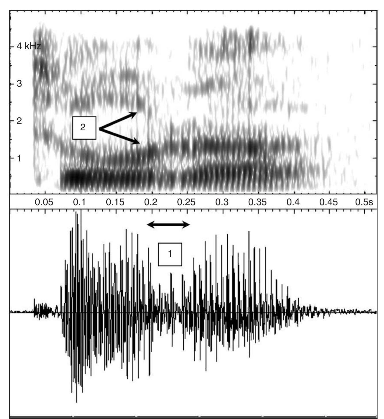 Stop Gap Spectrogram Spectrogram and waveform of daughter (speaker: young male).
