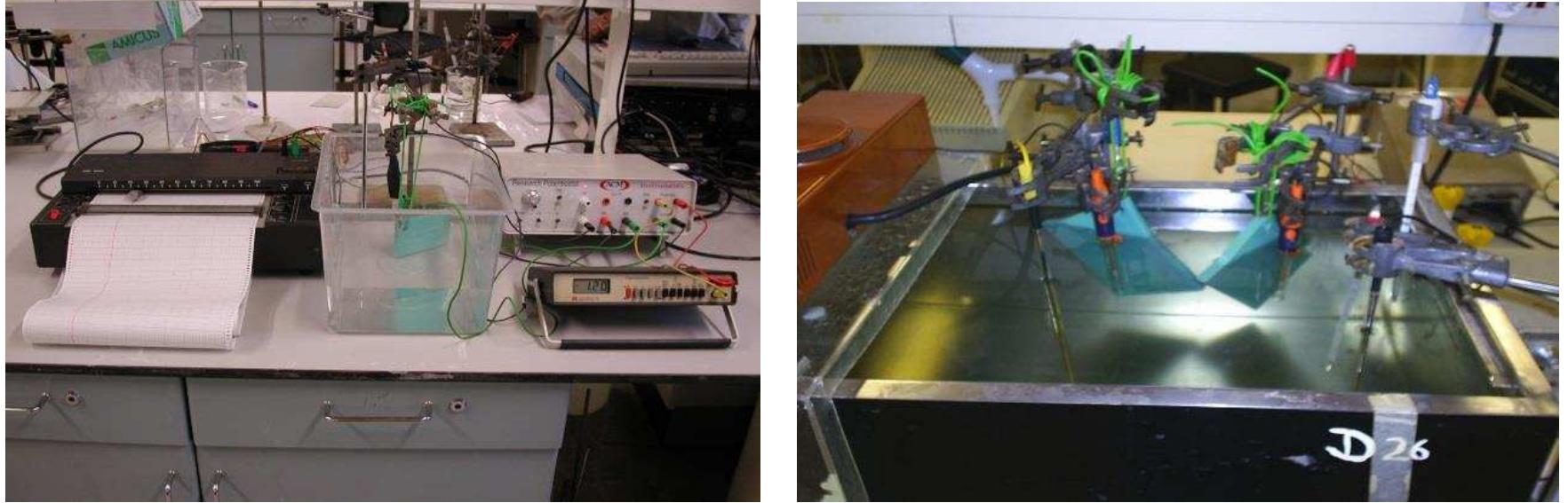 (PDF) Effects of high potential cathodic protection on fusion bond ...