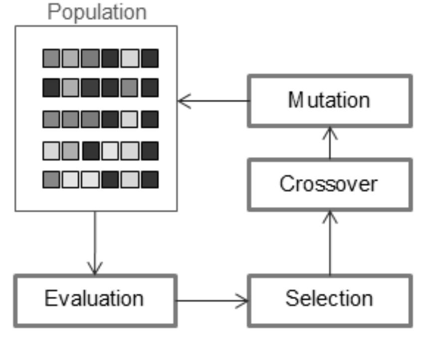 (PDF) Genetic Algorithm Optimization by Natural Selection