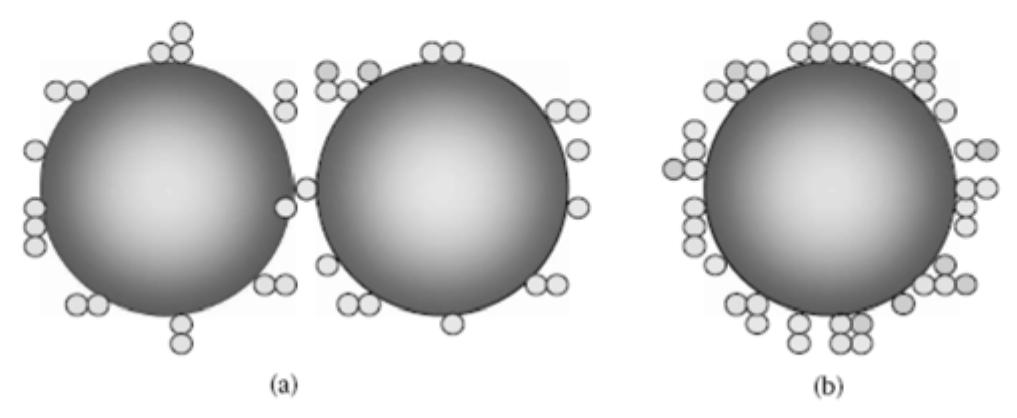 Figure 19 - from Entropy in the Brownian Motion (BM) and