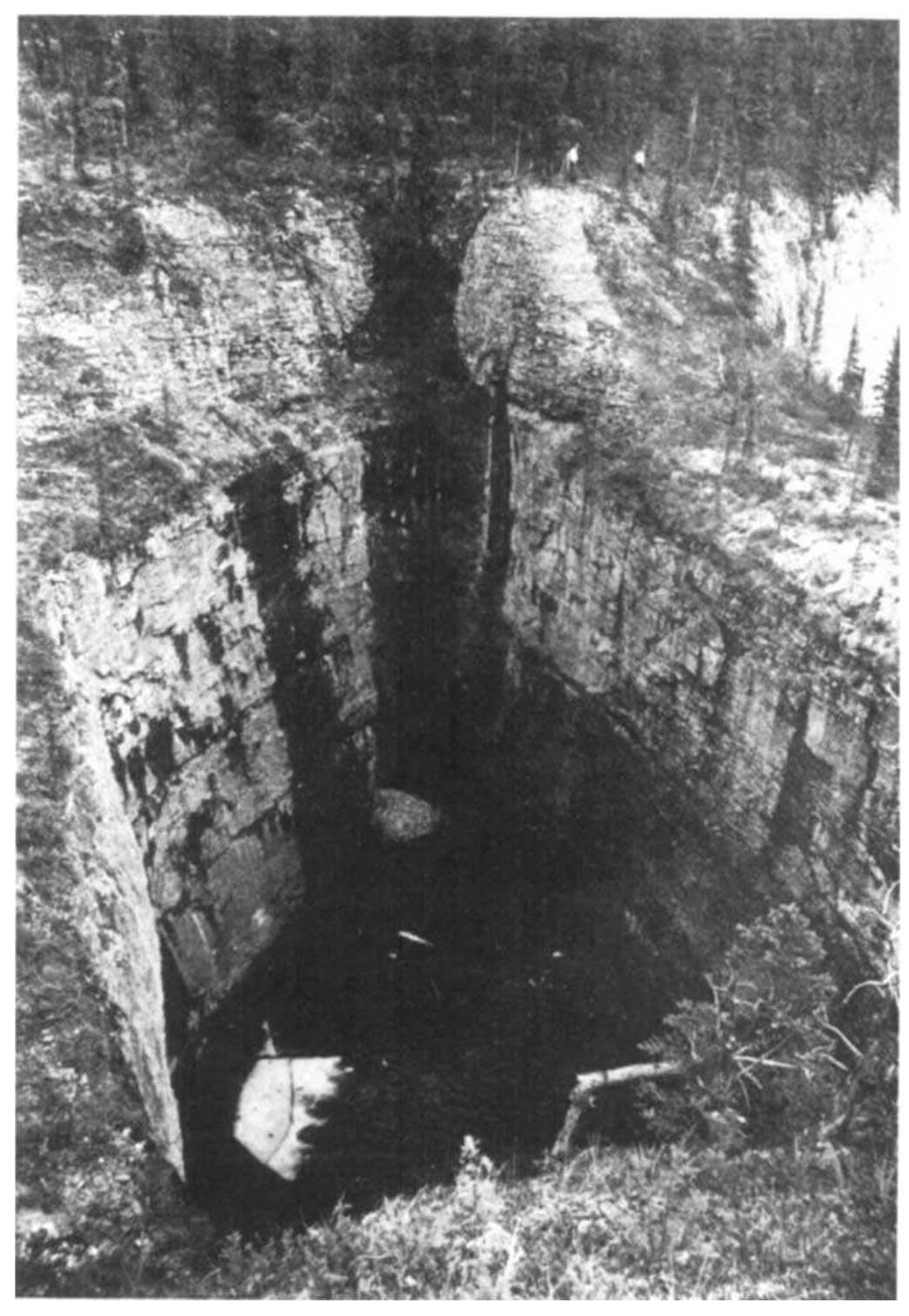 Doline The early doline stage of labyrinth karst development.