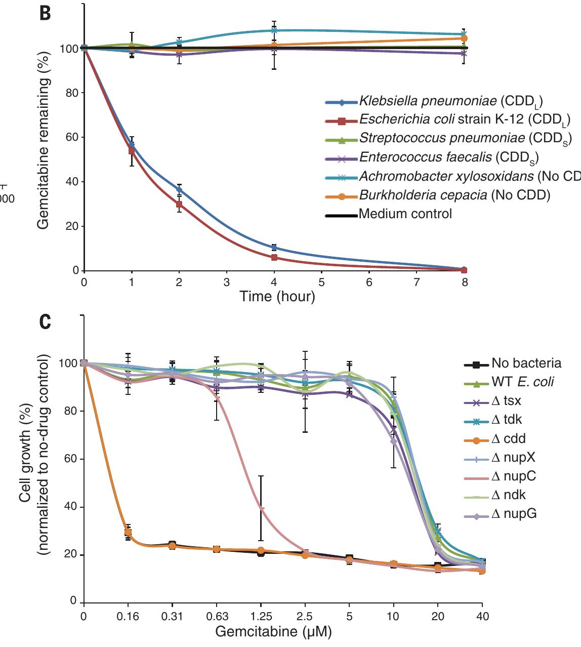 (PDF) Potential role of intratumor bacteria in mediating tumor ...