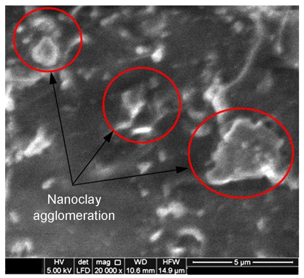 Scanning electron microscope (sem) image of outer surface of
