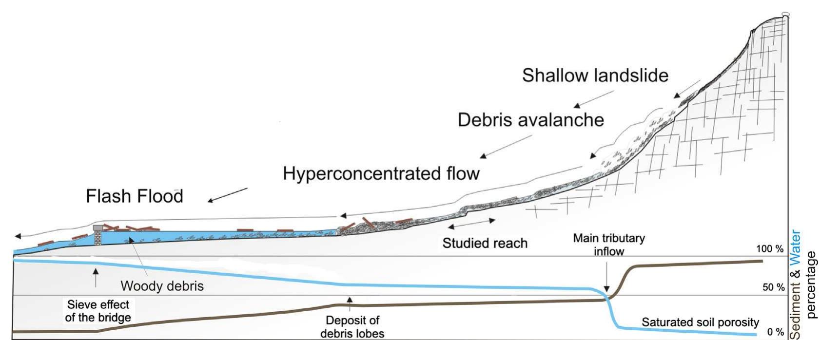 Diagram showing how different types of movements and flows