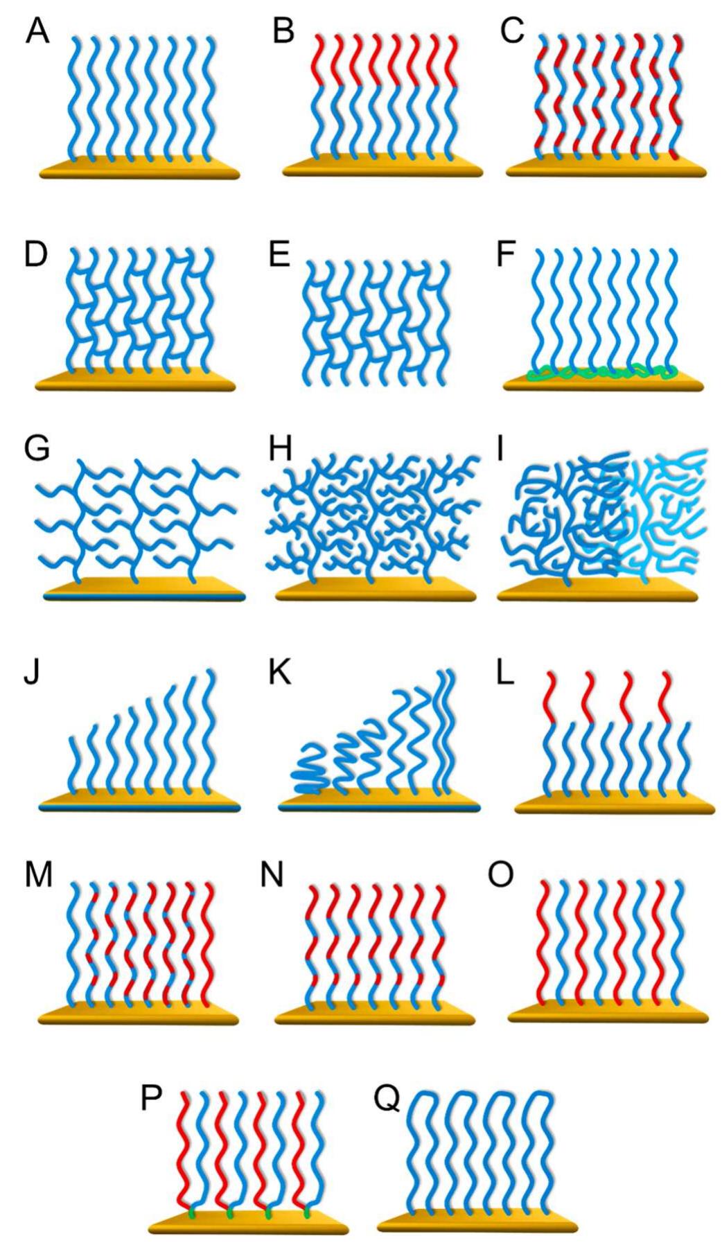 PDF) Surface-Initiated Controlled Radical Polymerization