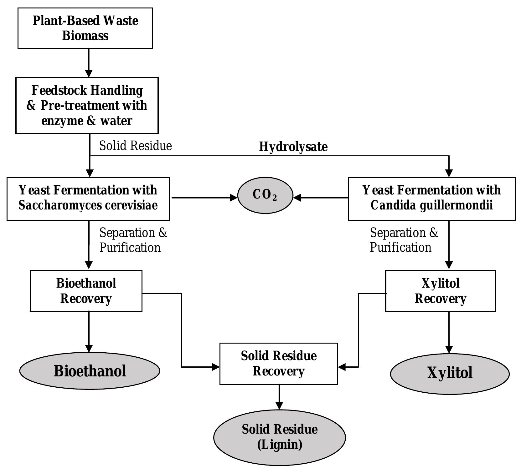 (PDF) A REVIEW OF BIOETHANOL PRODUCTION FROM PLANT-BASED WASTE BIOMASS ...