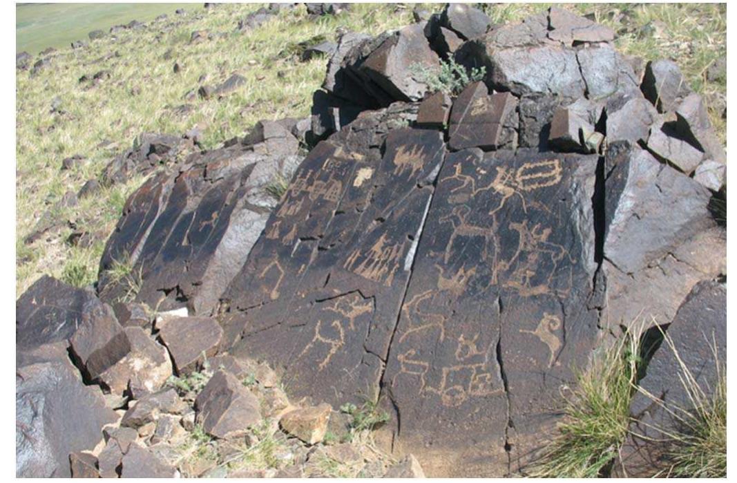 Fig. 2. General view, Khawtsgait, no. 52 (photo: Christopher P. Atwood).