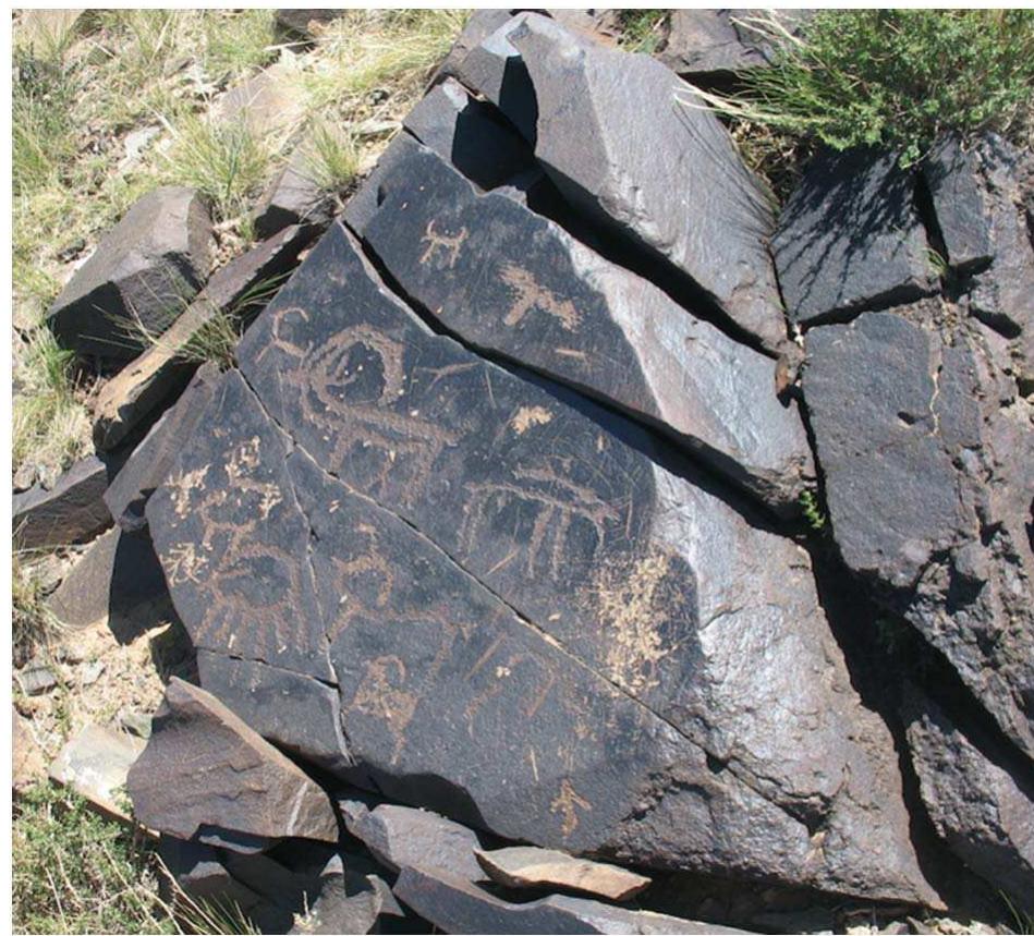 Fig. 1. Rock drawing of zoomorphs, Khawtsgait, Mongolia (photo: Christopher P. Atwood).
