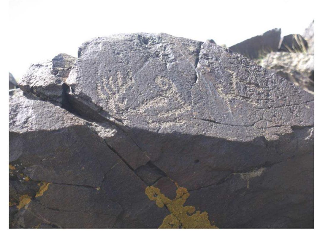 Fig. 3. Rock drawing of a Stylized Deer, Khawtsgait (photo: Christopher P. Atwood).
