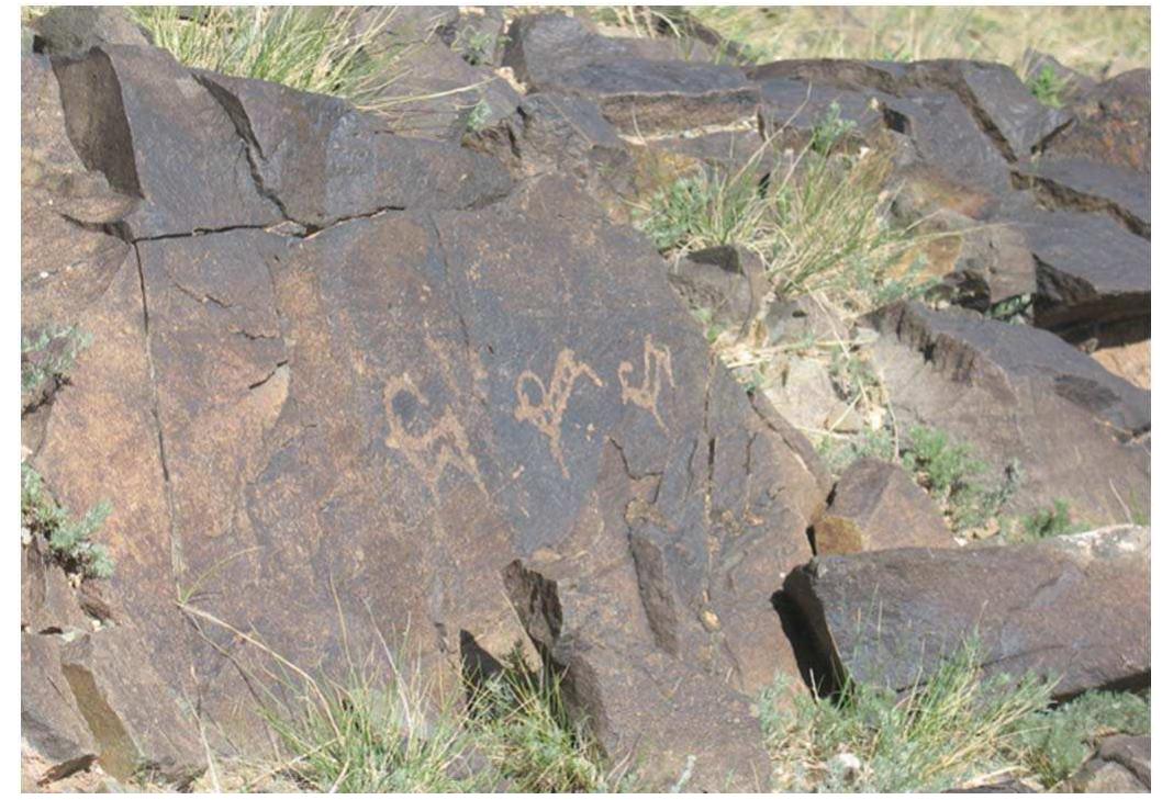 Fig. 4. Petroglyph depicting ibexes, Khawtsgait (photo: Christopher P. Atwood).