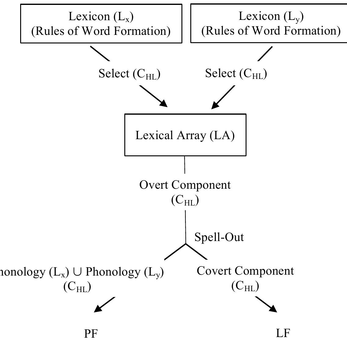 Figure 2. MacSwan’s (1997, 2000, 2005) minimalist model of bilingual production. 