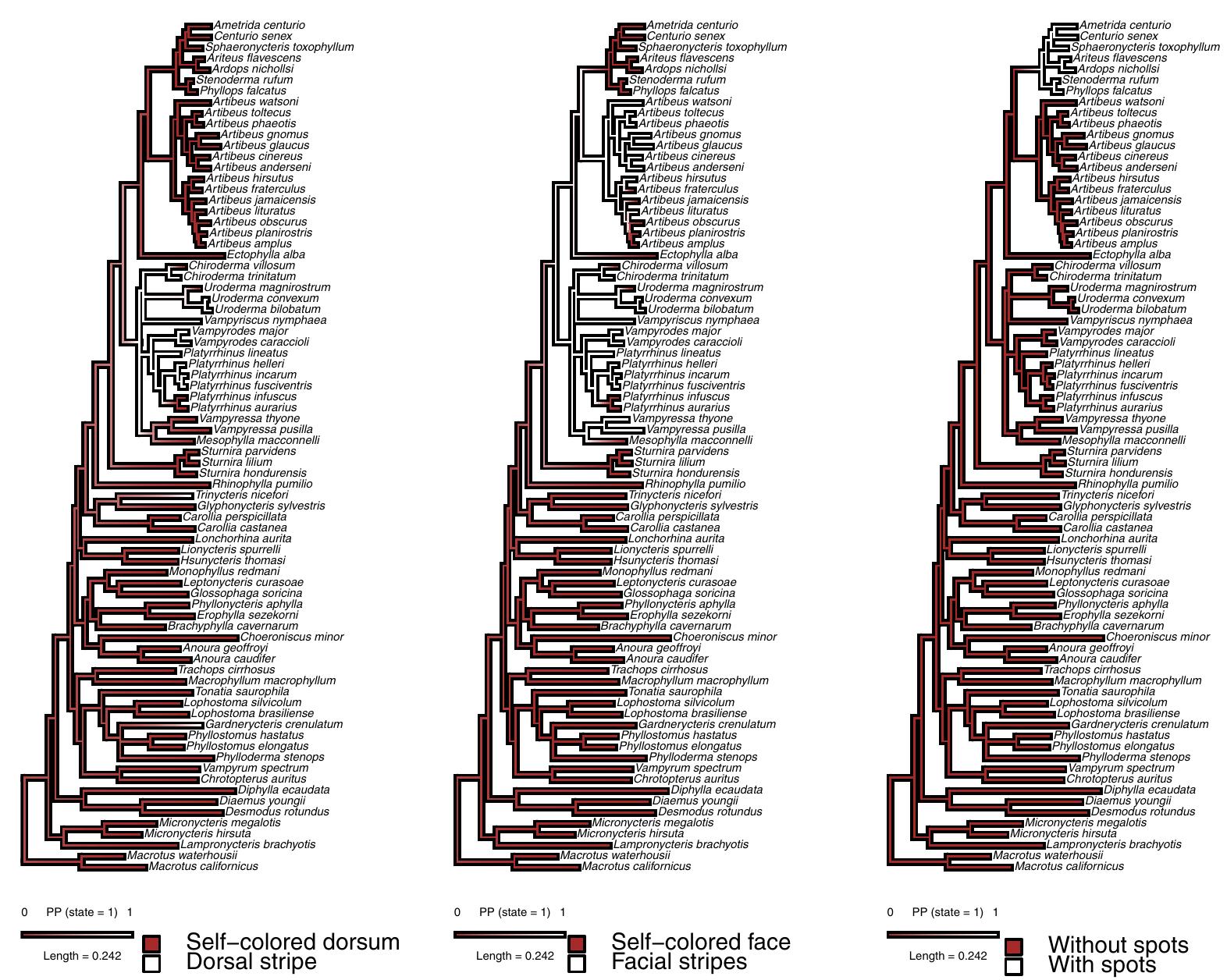 (PDF) Roosting ecology of Stenodermatinae bats (Phyllostomidae ...