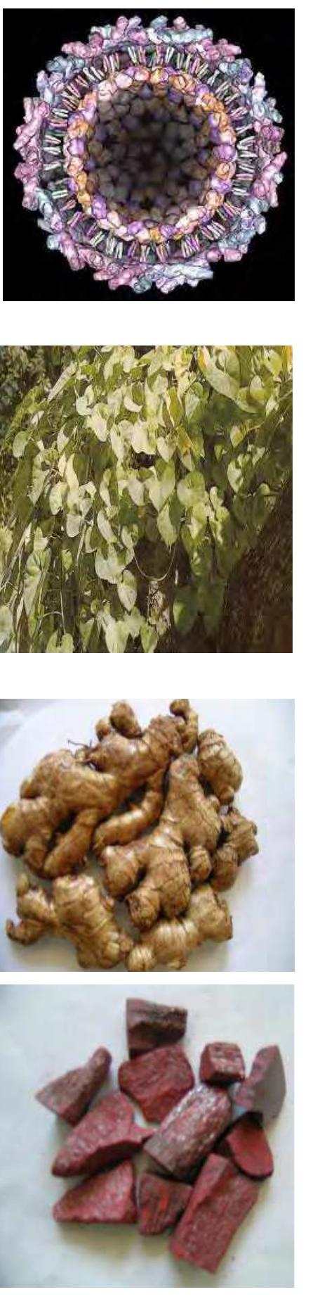 t&t‼️ PDF) MANAGEMENT OF CHIKUNGUNYA THROUGH AYURVEDA AND SIDDHA