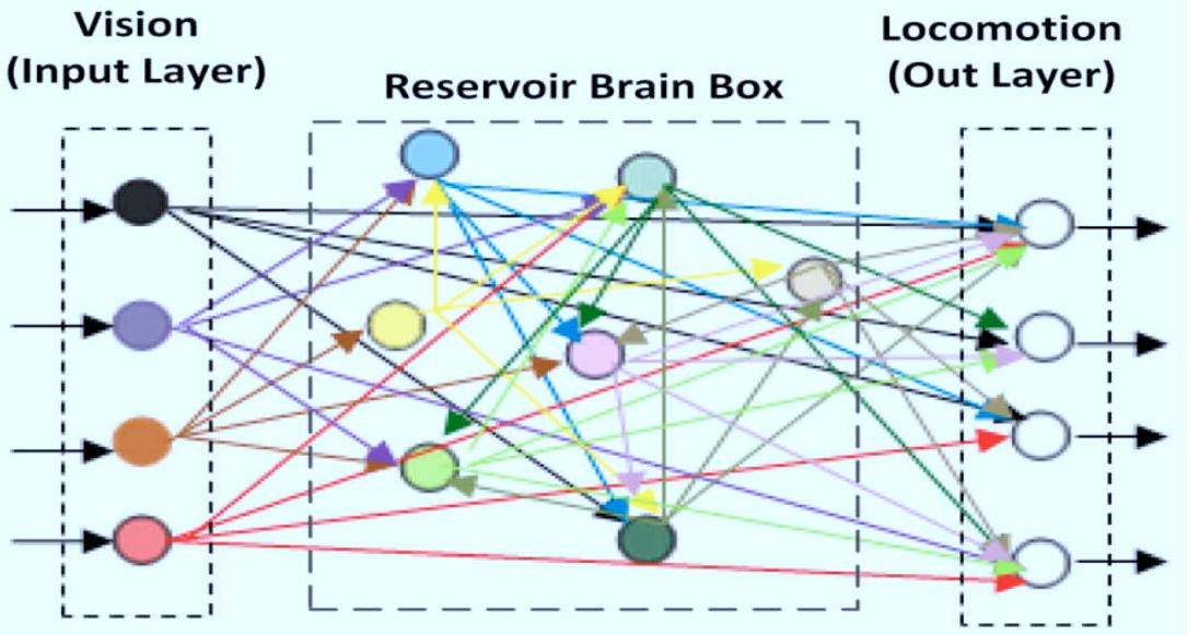 A reservoir network has been used in this paper. This structure has been shown in Figure 1. As is observable this network has two input and output layers. The neuronal network that have been used is composed of N = /50 randomly connected Izhikevich spiking neurons and different axonal conduction delays between each two neurons. Information is transferred between neurons of the networks through the links between every two neurons representing synapses. Each neuron is connected to M = /5 random neurons, so that the probability of connection is M/ WN = 0.15. It is noticeable that in this network, not only the connection between two neurons is random, but also the neurons type selection is random, too.
