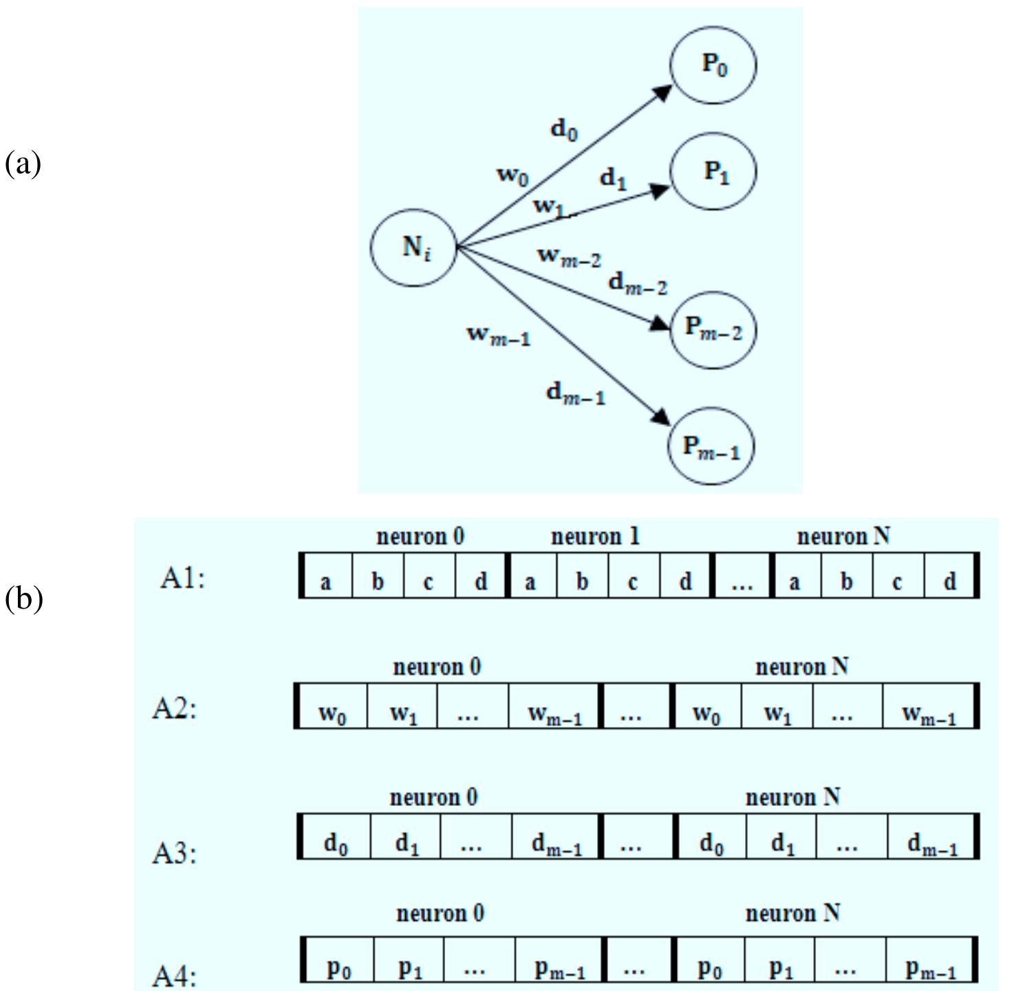 First, an initial random population of creatures is generated where the neural networks of th reatures are coded as chromosomes, as shown in Figure 10a and Figure 10b. Each chromosom consists of four parts: AJ, A2, A3 and A4. Each part consists of N segments for N neurons of | ypical neural network structure. The first part, AJ, denotes a, b, c and d parameters of neuron zhikevich model (discussed in (1) and (2)). Each segment of A2 shows postsynaptic weights an onnections for corresponding neuron and each segment of A3 indicates postsynaptic delays of th onnections. Segment A4 shows postsynaptic neurons that are connected to corresponding neuron is shown in Figure 10b. Each artificial creature (chromosome) is placed in an environment fo earching and catching the randomly distributed foods in the peripheries. Then fitness value i alculated for each of them. Fitness function is the energy level. The ideal creatures are those whi ind food objects in 5 iteration that food sources appeared in random locations by minimun novements so that have maximum energy and they can survive. They should show some adaptio: bilities under different conditions. Figure 10: a) A typical neuron and postsynaptic connections with weights and delays b) A typical chromosome Al: Parameters of the Izhikevich model, A2: Synaptic weights, A3: Conduction delays, A4. Post-synaptic neurons number