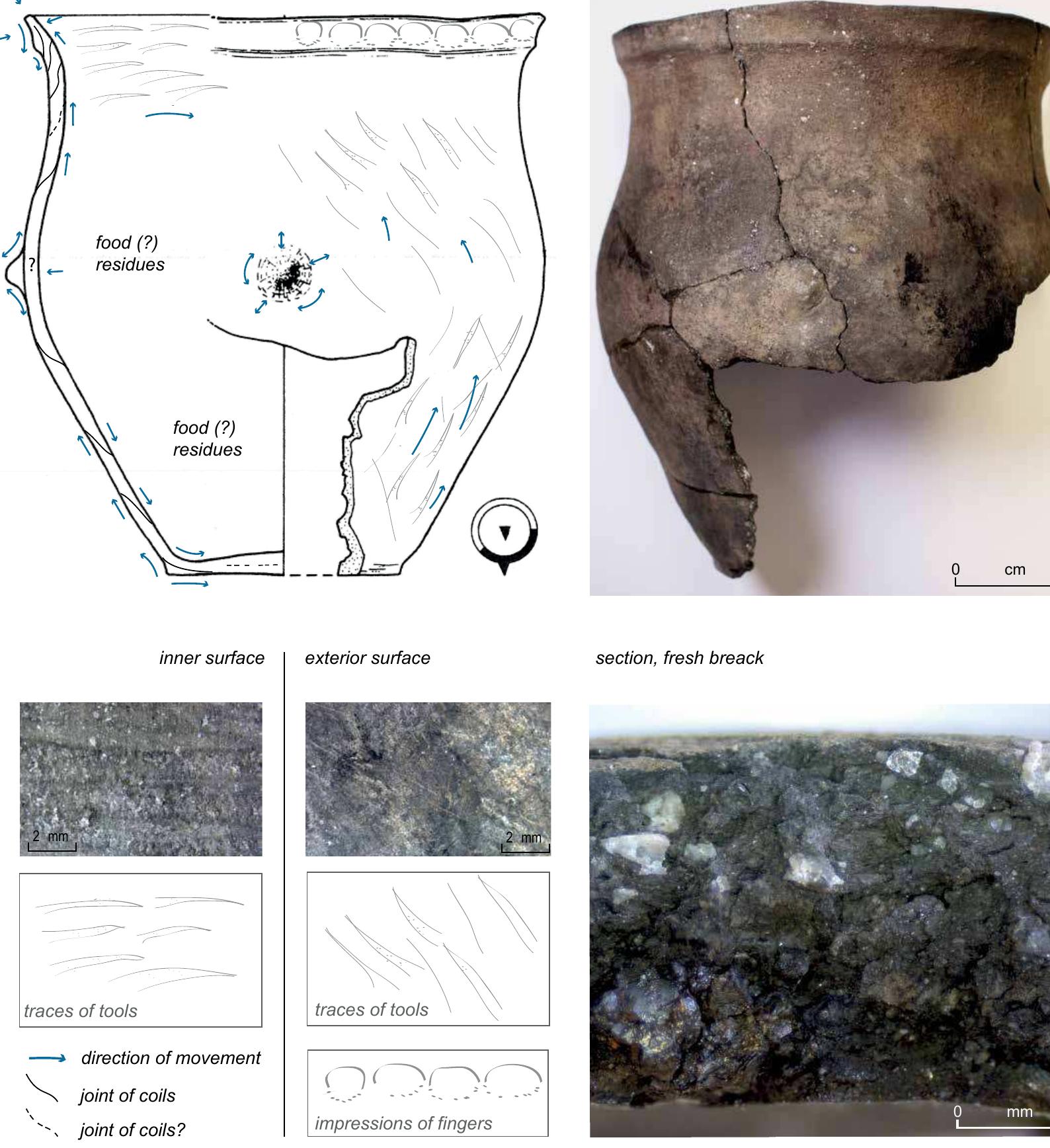 Figure 4. Working with materials: traces from the making process recaptured in a ‘Hornstaad’-styled pot no. 293 from Sipplingen A (DE) (figure, photos and drawing of traces: C. Heitz; drawing of pot: I. Matuschik). 