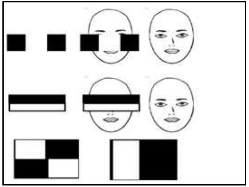 (PDF) The Real Time Face Detection and Recognition System