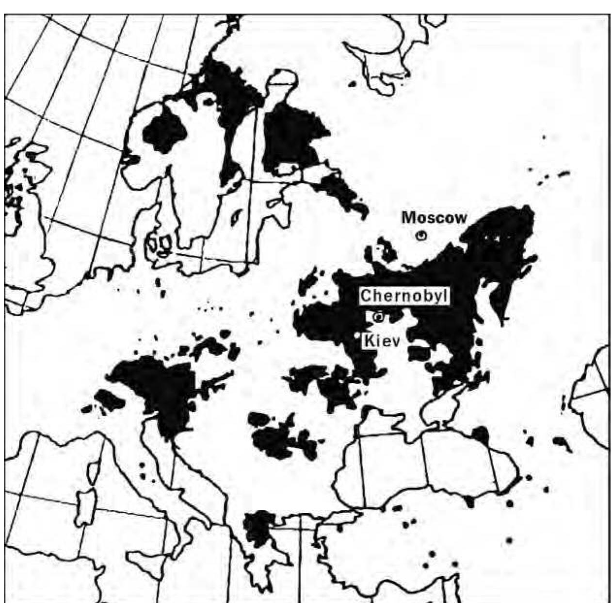 Notanish odam bilan jinsiy aloqa video Qanday qilib uzuklarni quduqqa tushirish kerak