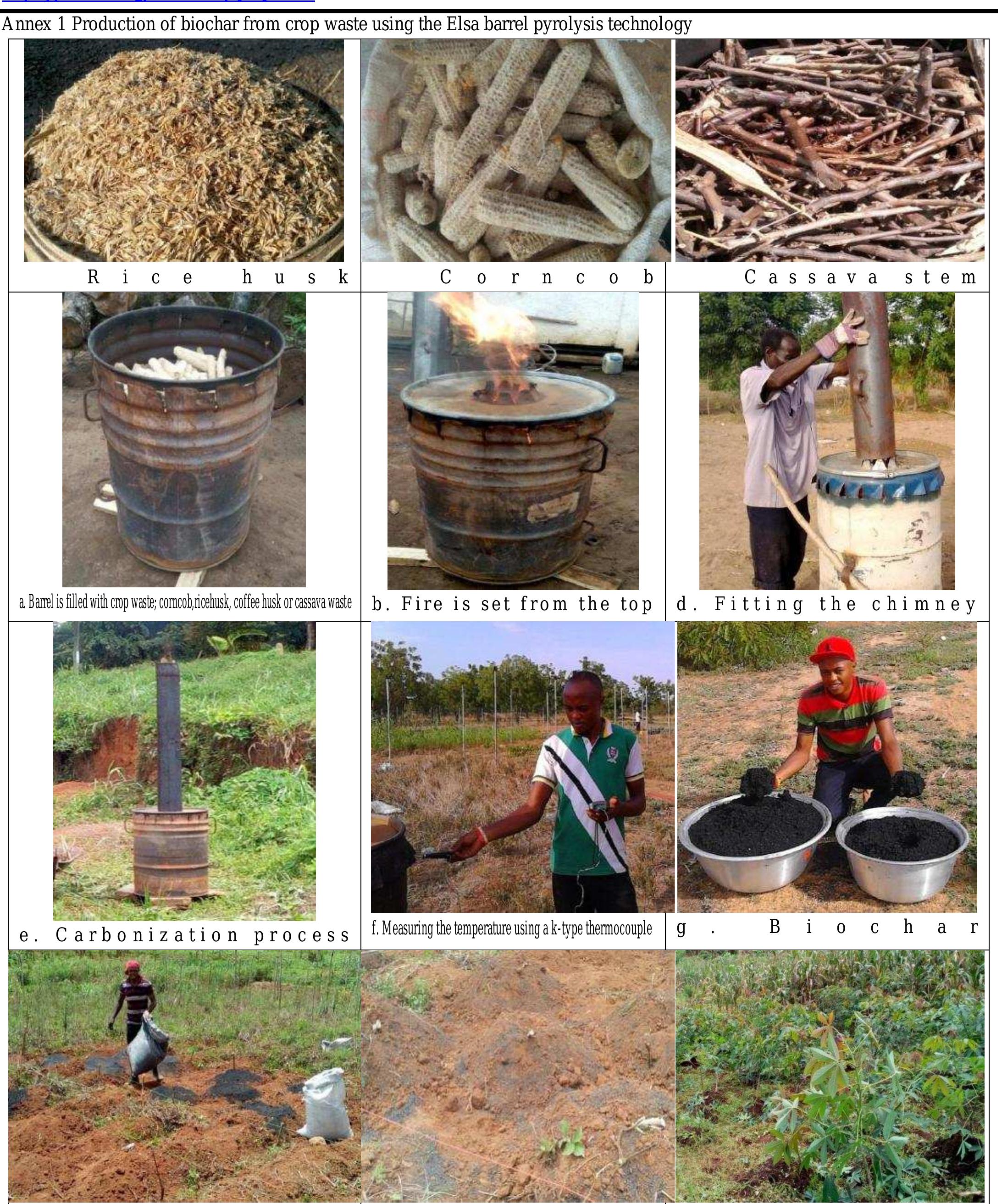 (PDF) Effect of Biochar issued from Crop Wasteon the Yield of variety ...