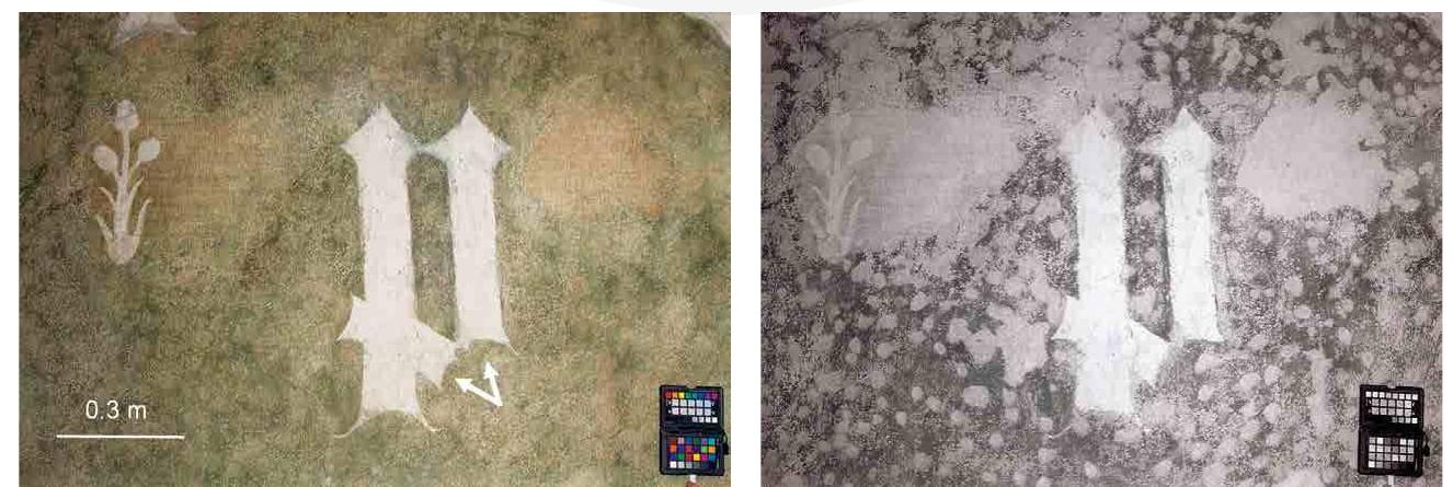 Figure 4.4. VIS and IR (approx. 830-1000 nm) photographic images of the letter P highlighted in figure 4.3. Arabesques in the lower part of the letter P are indicated in the VIS image. They seem to disappear in the IR image. Photos: Francesca Piqué, 2016.  The extent of conservation work carried out in the twentieth century was revealed by infrared (IR) pictures (approx. 830-1000 nm) of the details of the walls, produced with a modified Canon EOS 5D Mark II digital camera whict was equipped with filters and illuminated with a halogen Lowel V (500 W) ligh (Piqué 2013). Owing to the difference in IR absorption between the original anc the repainted green background, the infrared pictures show clearly both the orig inal and non-original areas. The losses caused by the nineteenth-century keying process were filled after the concealing stucco plaster had been removed. The missing decoration was recreated over these fills by repainting with material o  missing decoration was recreated over these fills by repainting with material of  (Piqué 2013). Owing to the difference in IR absorption between the original and 