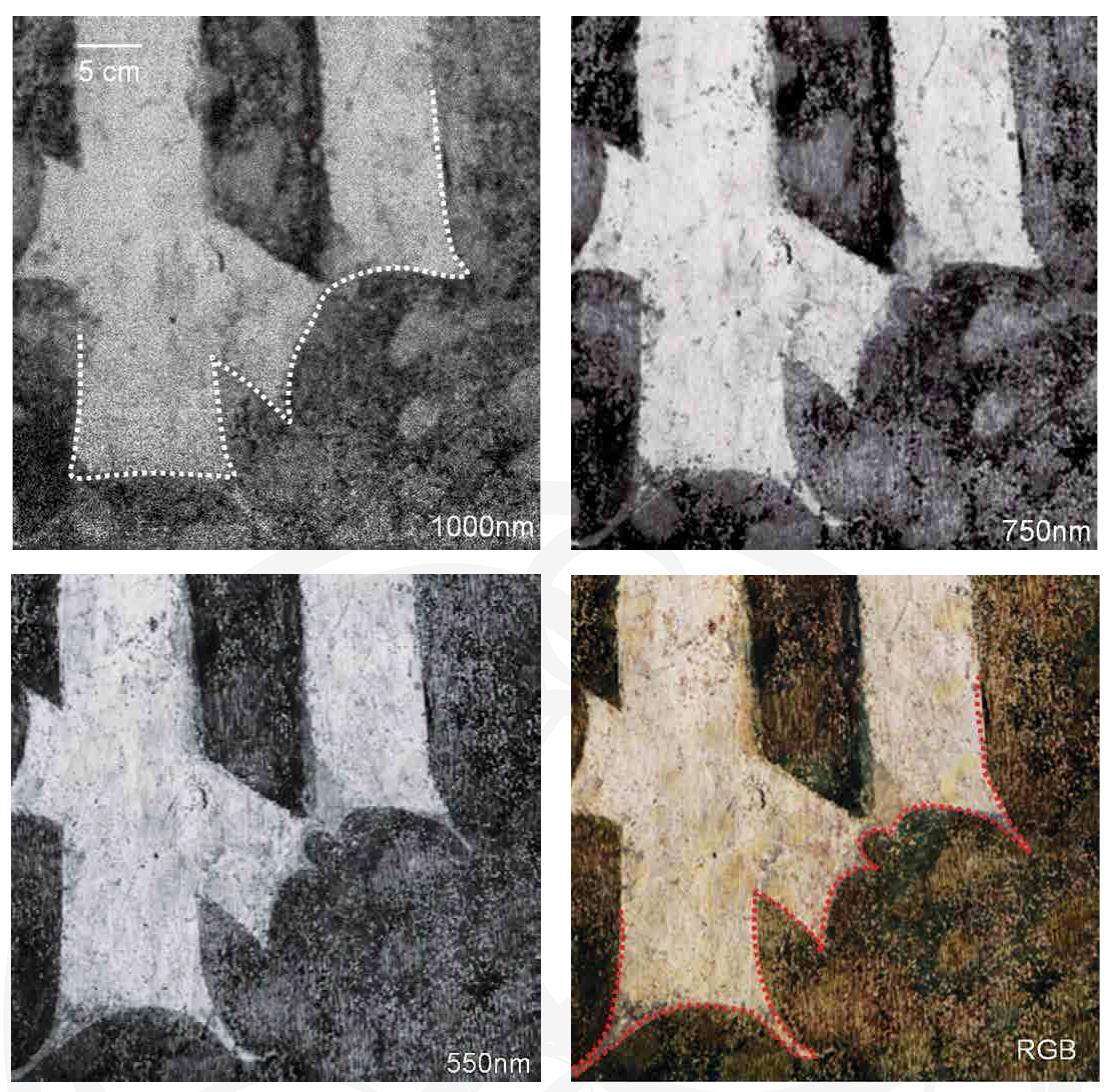 Figure 4.5. Hyperspectral imaging of the lower part of letter P, shown in figure 4.4. The white dotted line in the image at 1000 nm shows the original profile of the letter while the red dotted line in the RGB picture shows the profile of the embellished letter. Photos: Aurélie Mounier, 2016. 