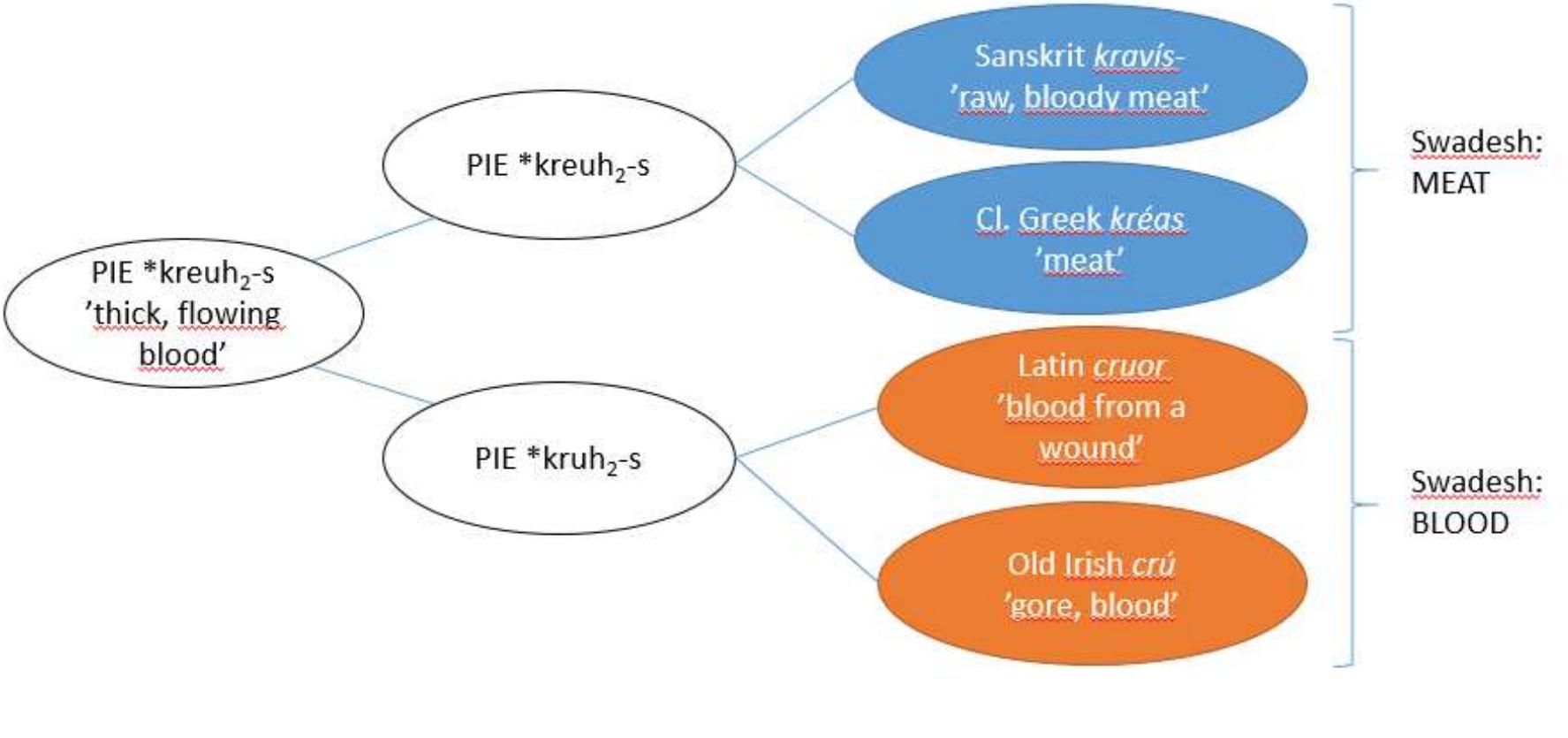 igure 2. Graph explaining the difference between the cognacy and etymology methods: in cognacy 1ethod blue circles and orange circles belong to two different cognacies, BLOOD versus MEAT, in the tymology method all circles belong to one tree, stemming either from a stub MEAT or BLOOD, both ccuring as core meanings in branches of the tree. 