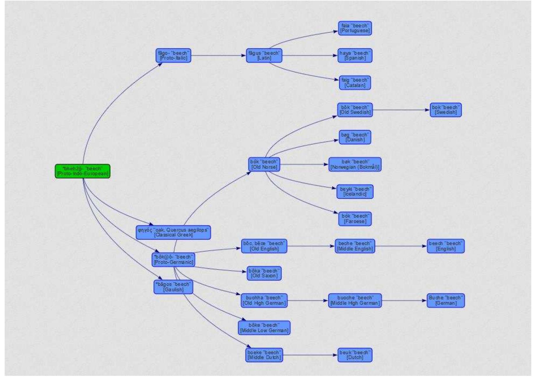Figure 6. Screenshot of the Etymology for the Indo-European root for BEECH 